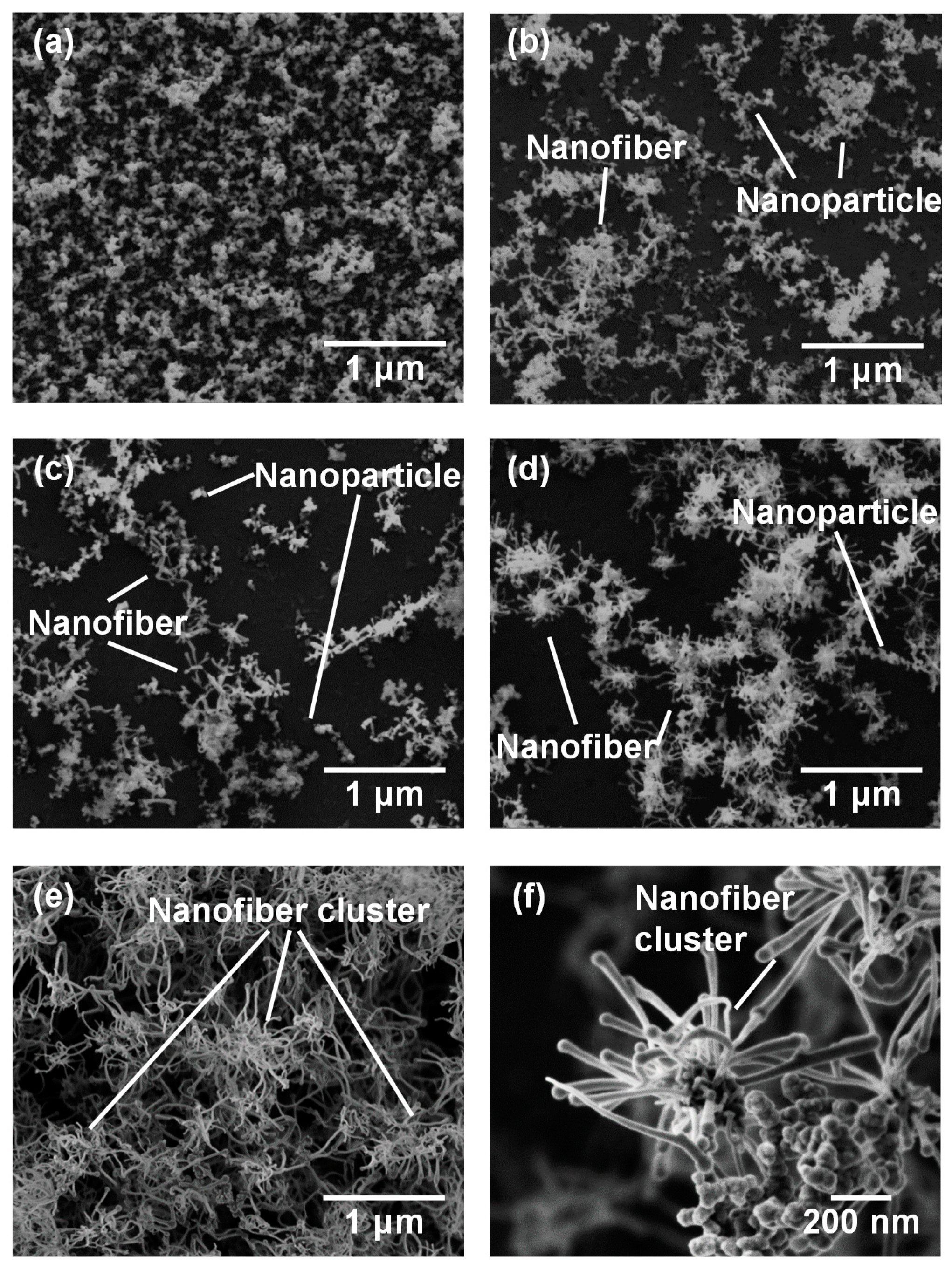 Nanomaterials 10 00812 g003