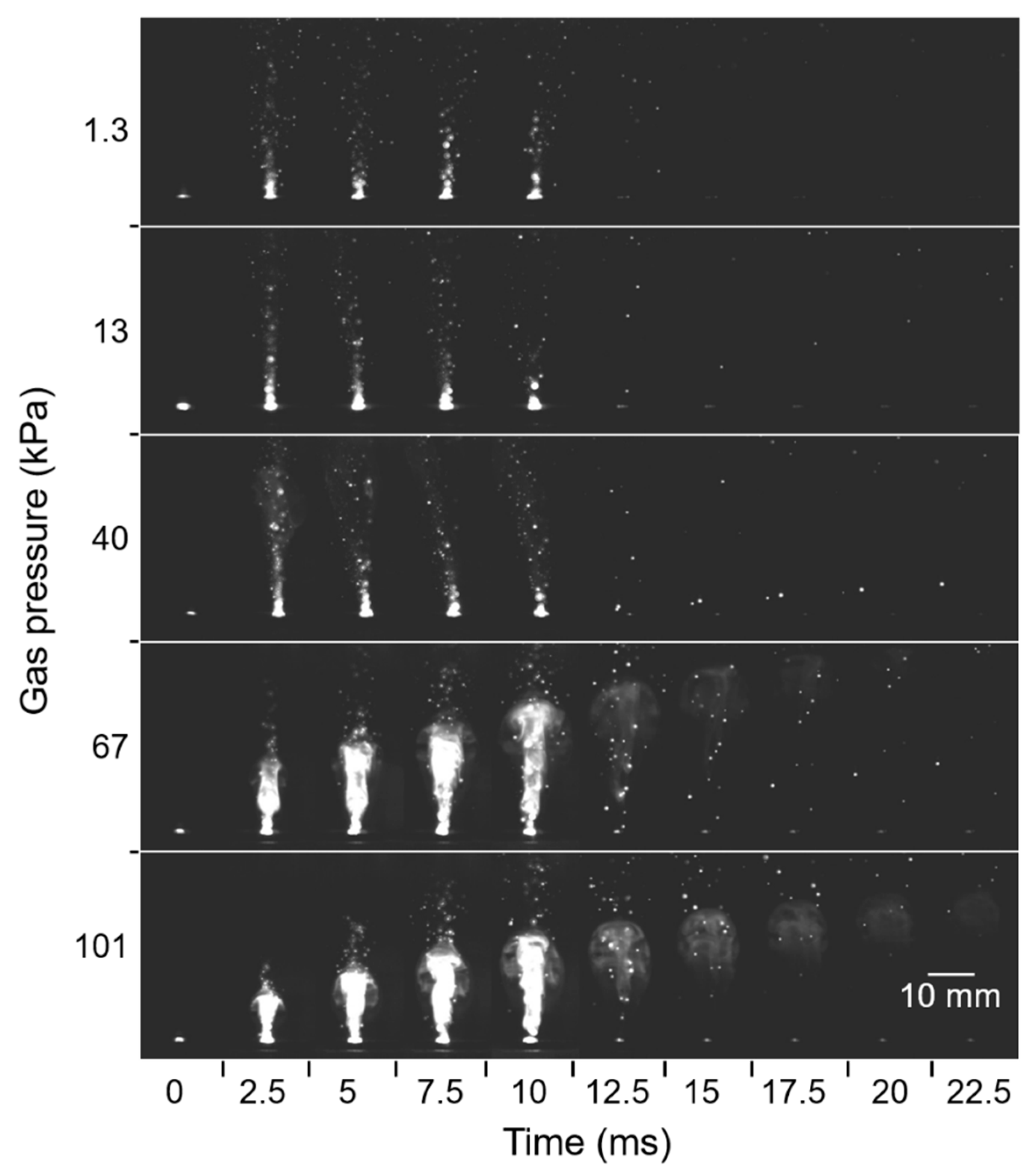 Nanomaterials 10 00812 g012