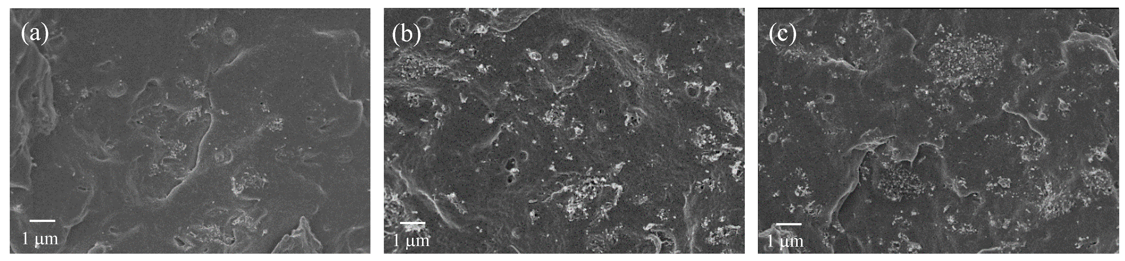 Nanomaterials 10 00814 g006 Nanomaterials 10 00814 g006