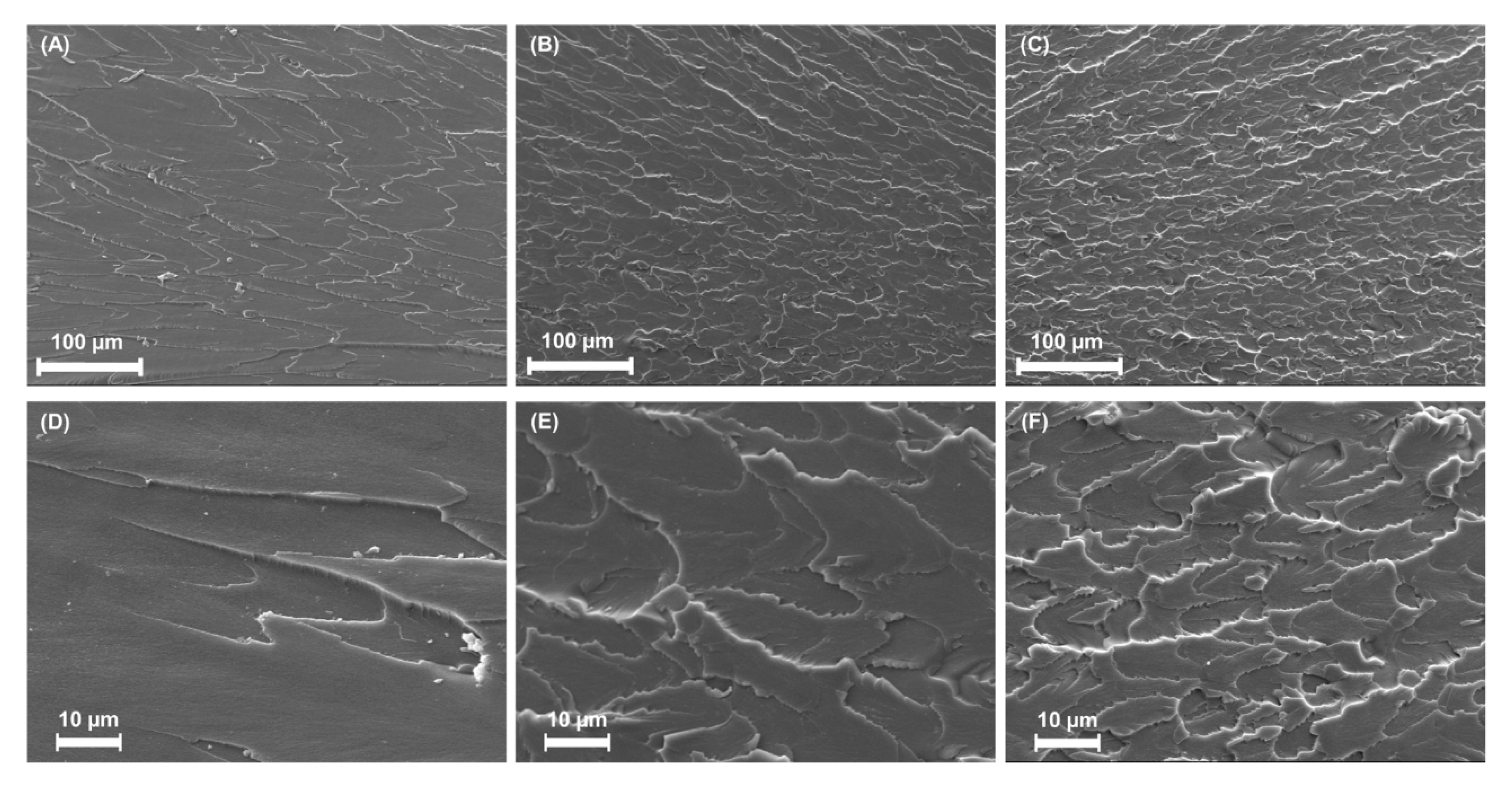 Nanomaterials 10 00827 g004