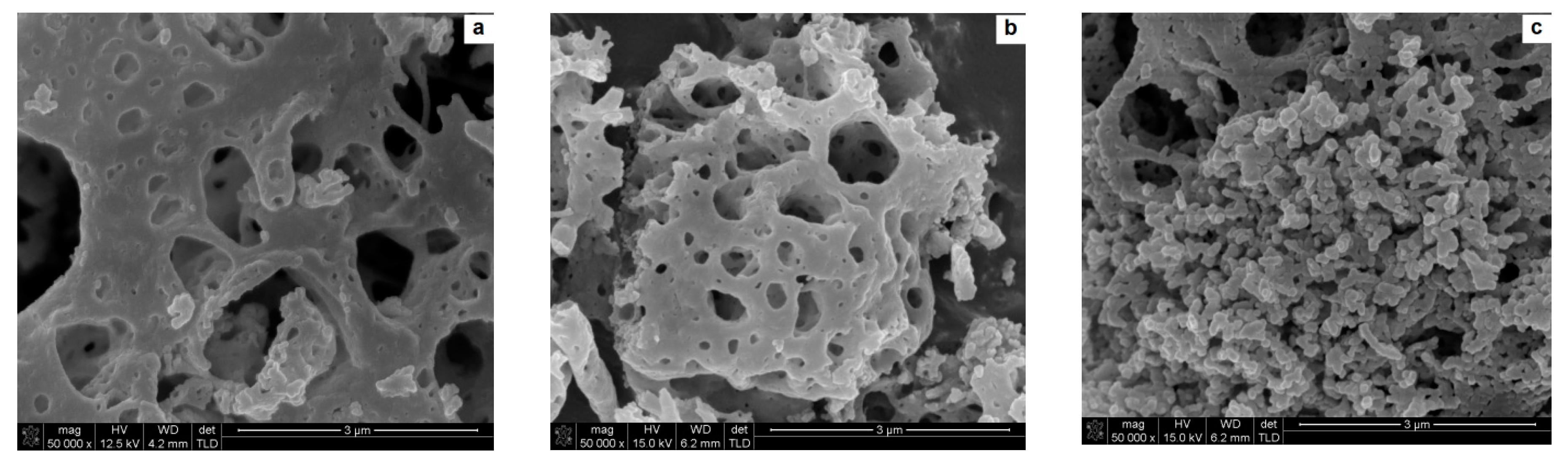 Nanomaterials 10 00831 g004