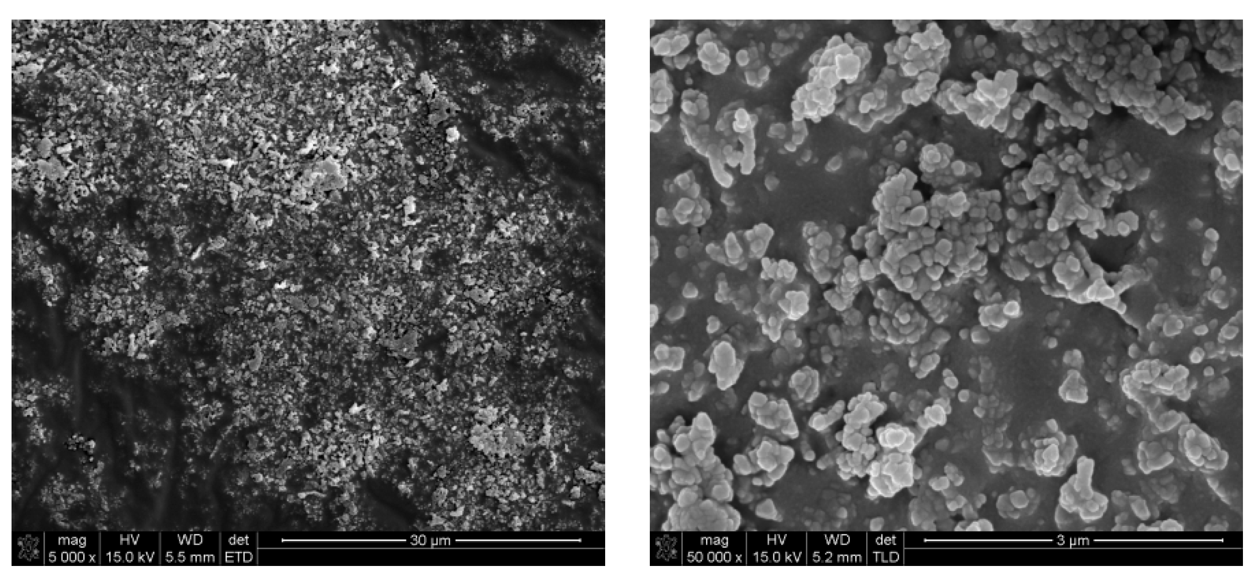 Nanomaterials 10 00831 g007
