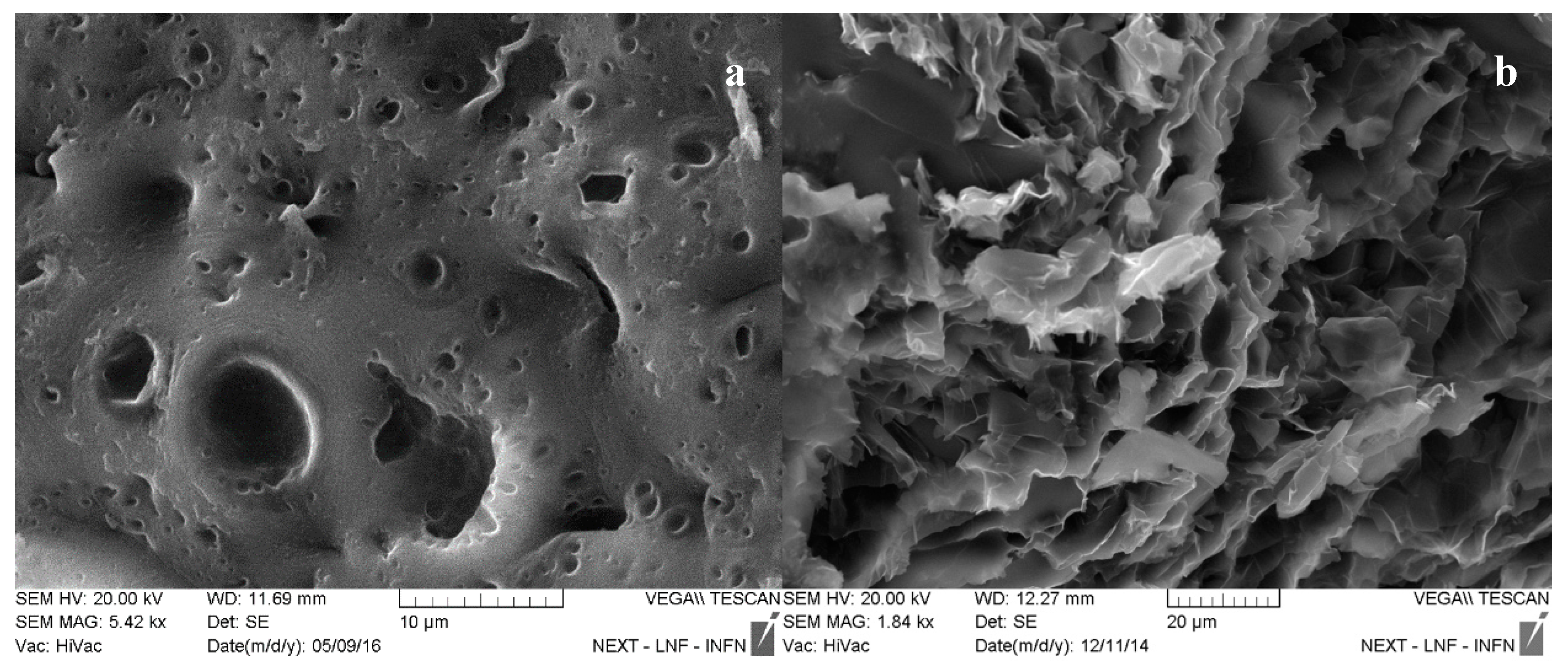Nanomaterials 10 00850 g002