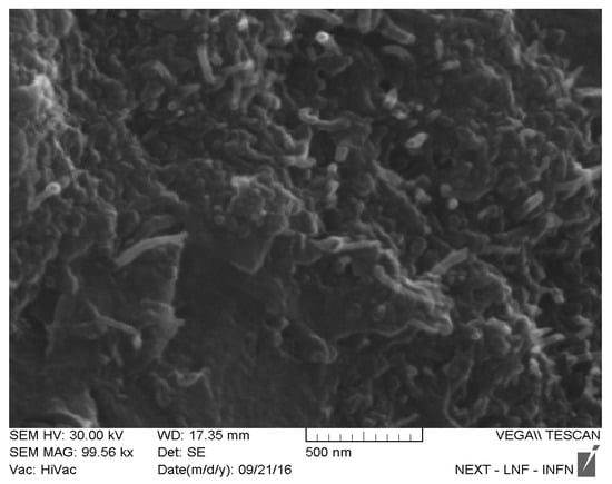 Nanomaterials 10 00850 g0a6