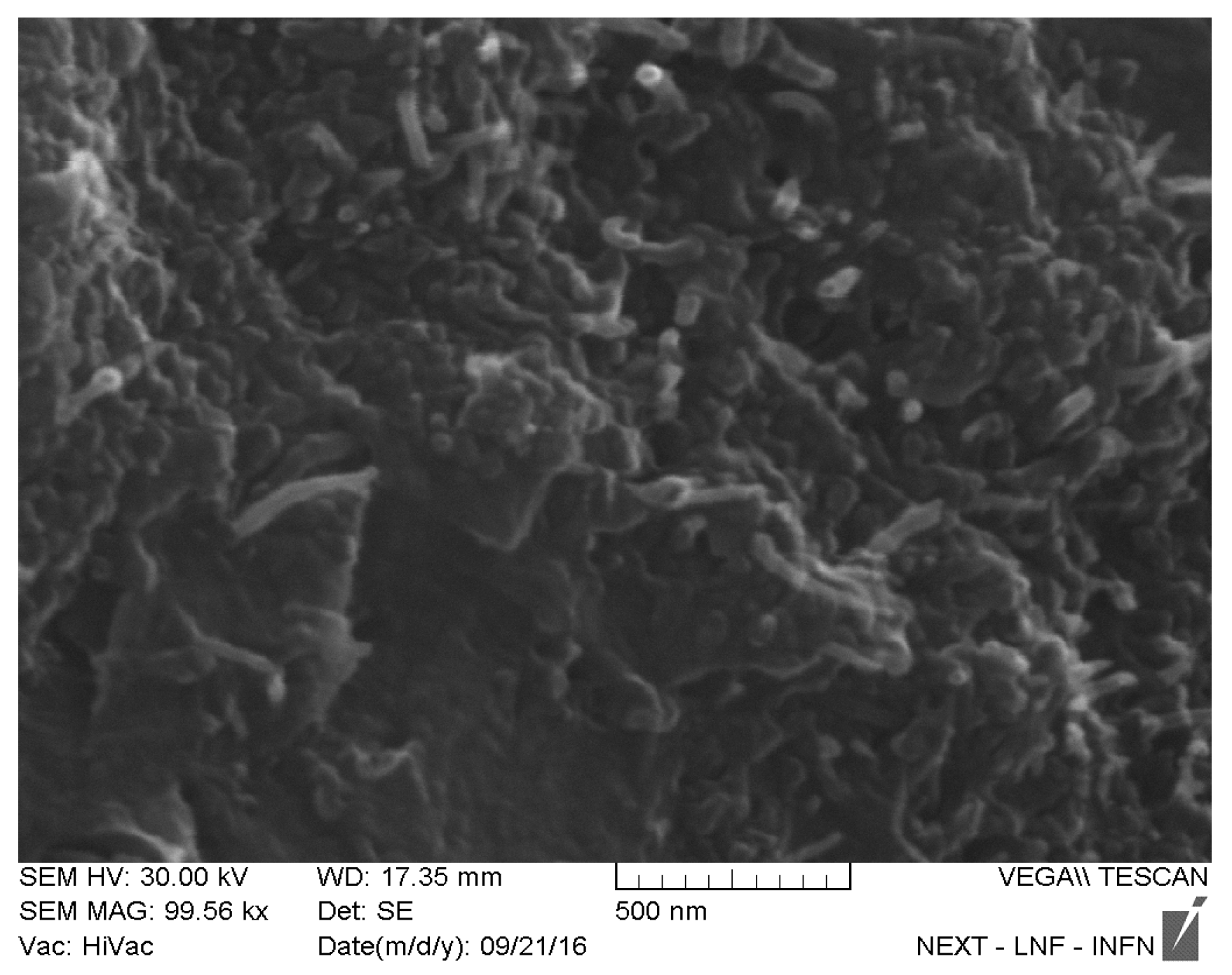 Nanomaterials 10 00850 g0a6