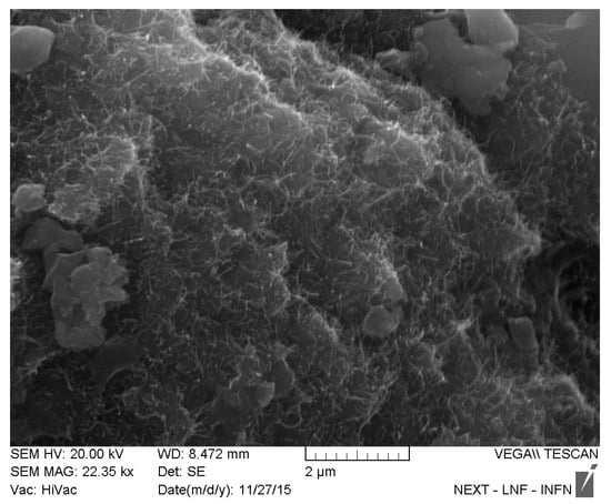 Nanomaterials 10 00850 g0a7