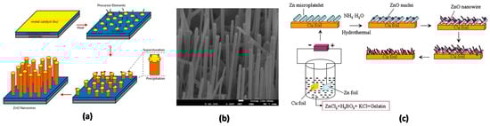 Nanomaterials 10 00857 g002