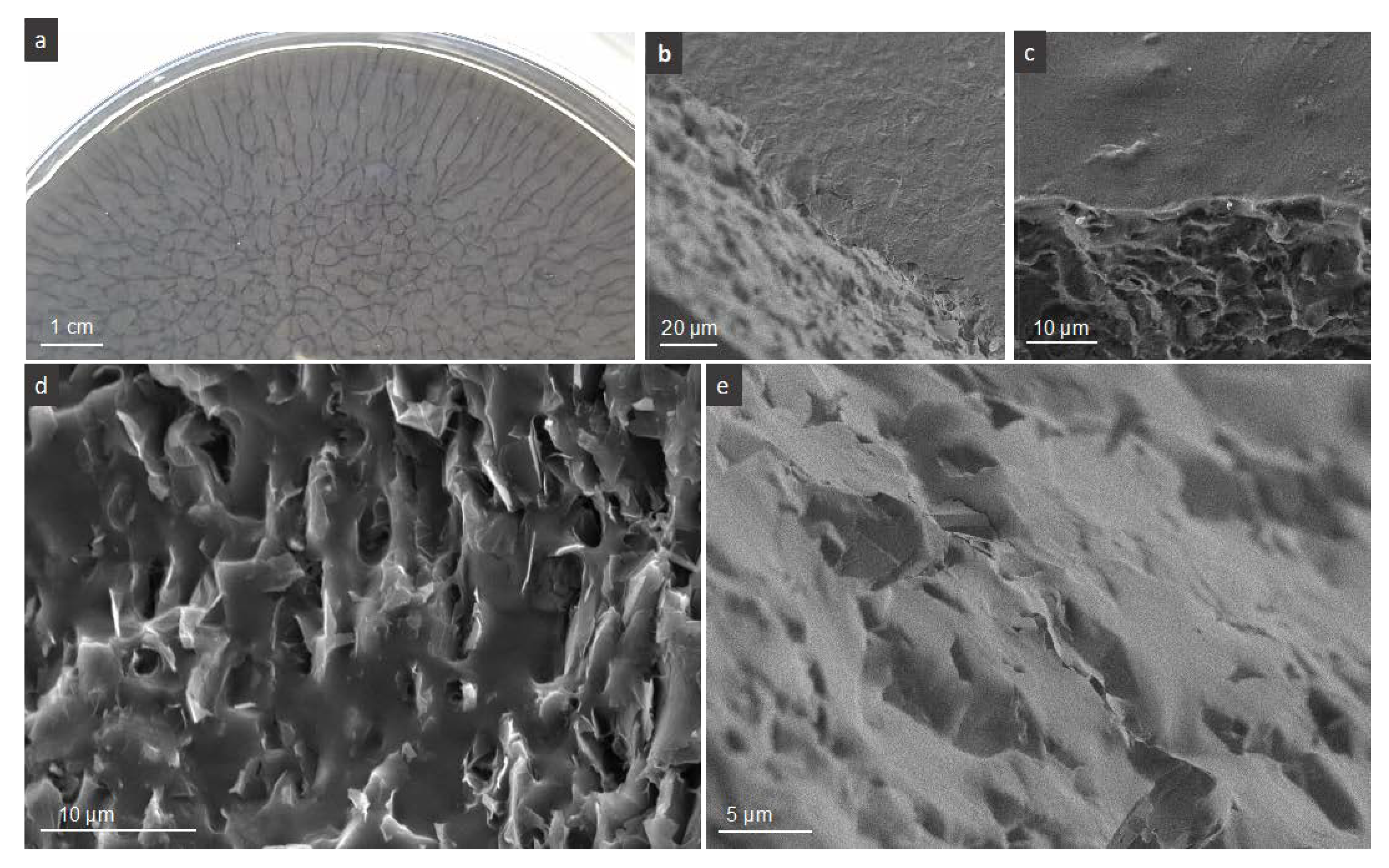 Nanomaterials 10 00858 g002