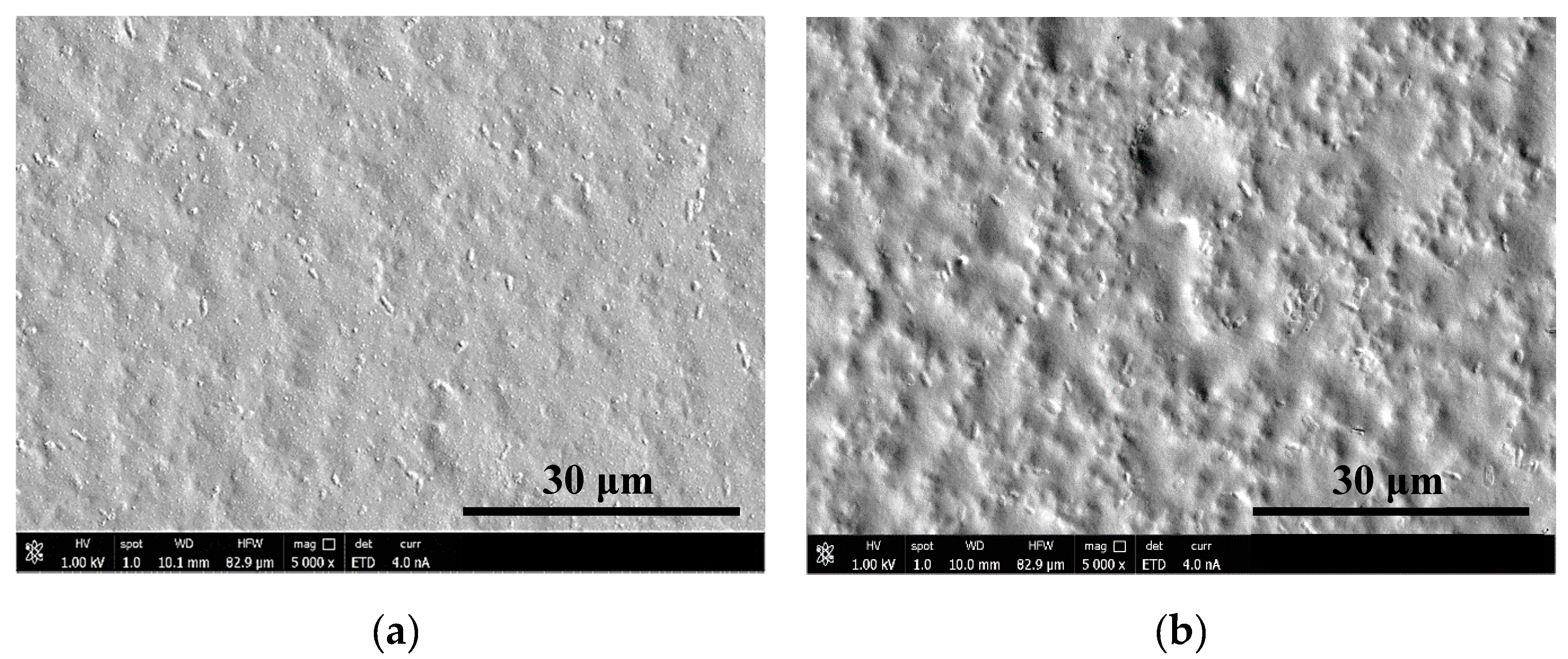 Nanomaterials 10 00859 g001