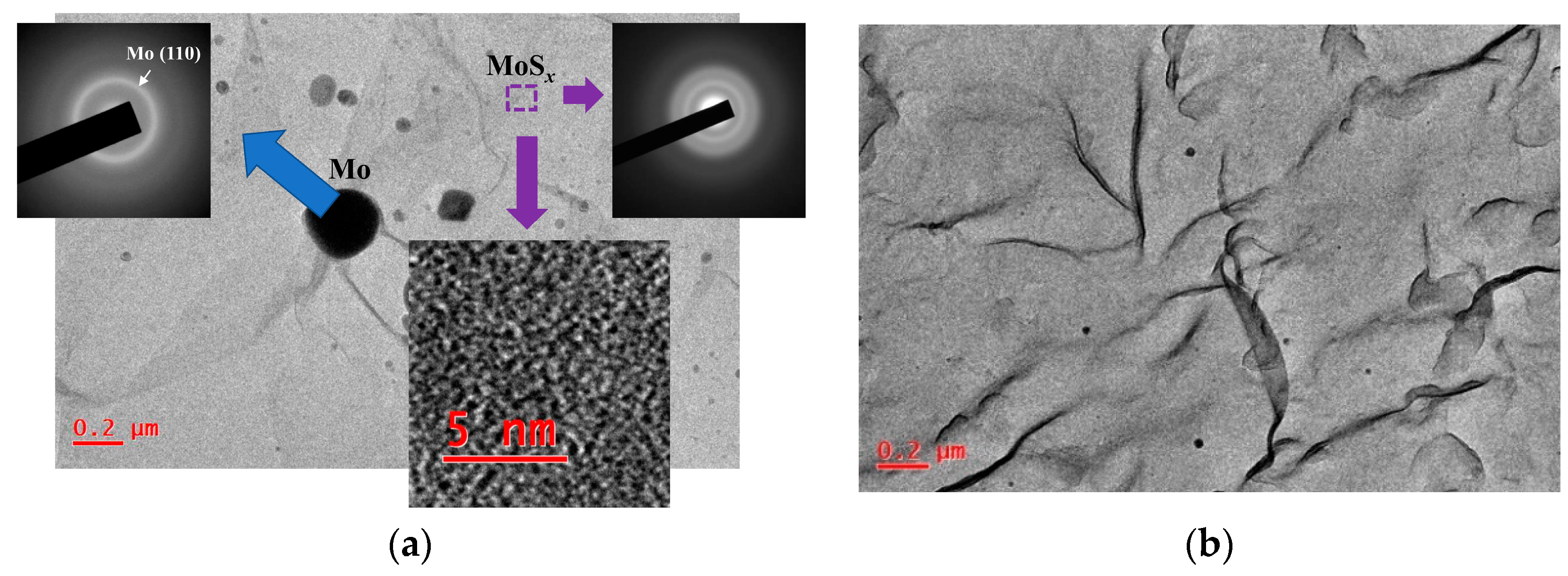 Nanomaterials 10 00871 g008