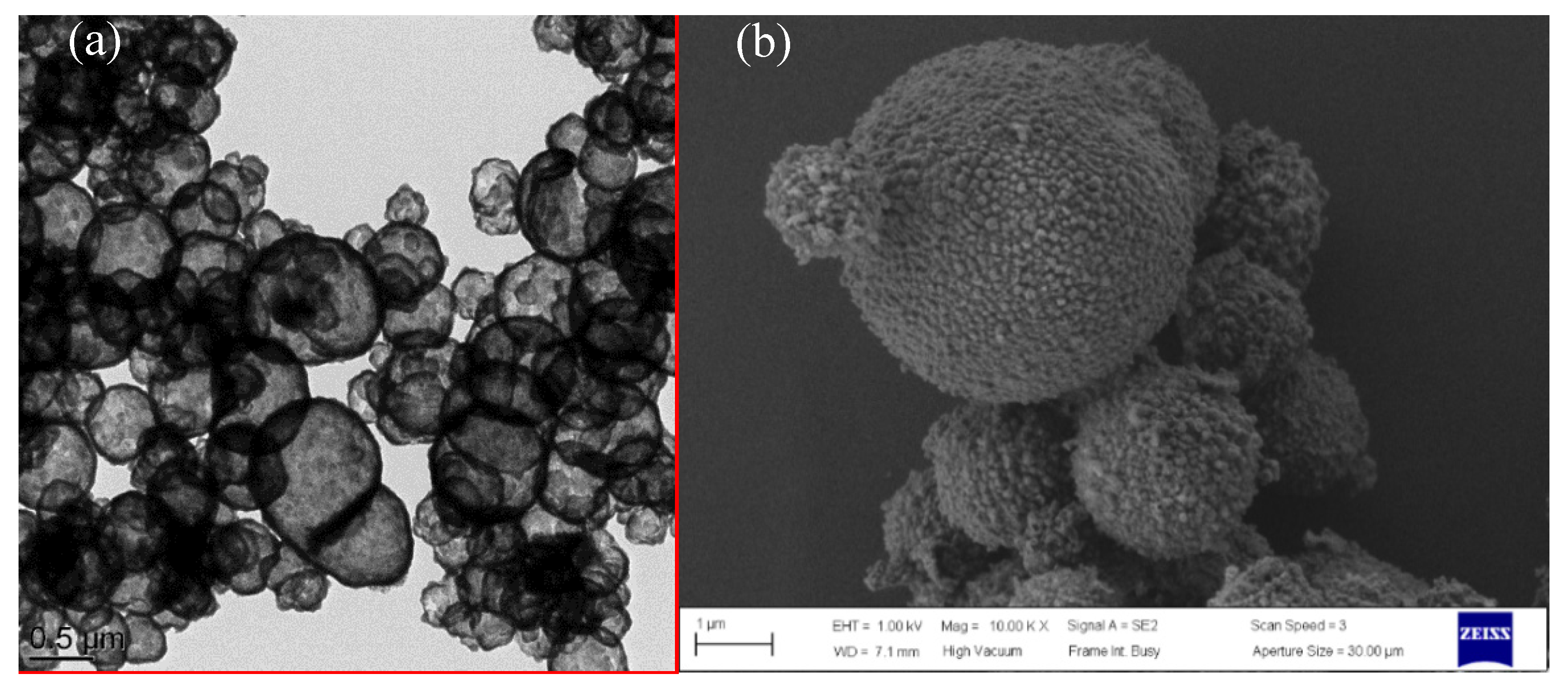Nanomaterials 10 00881 g003