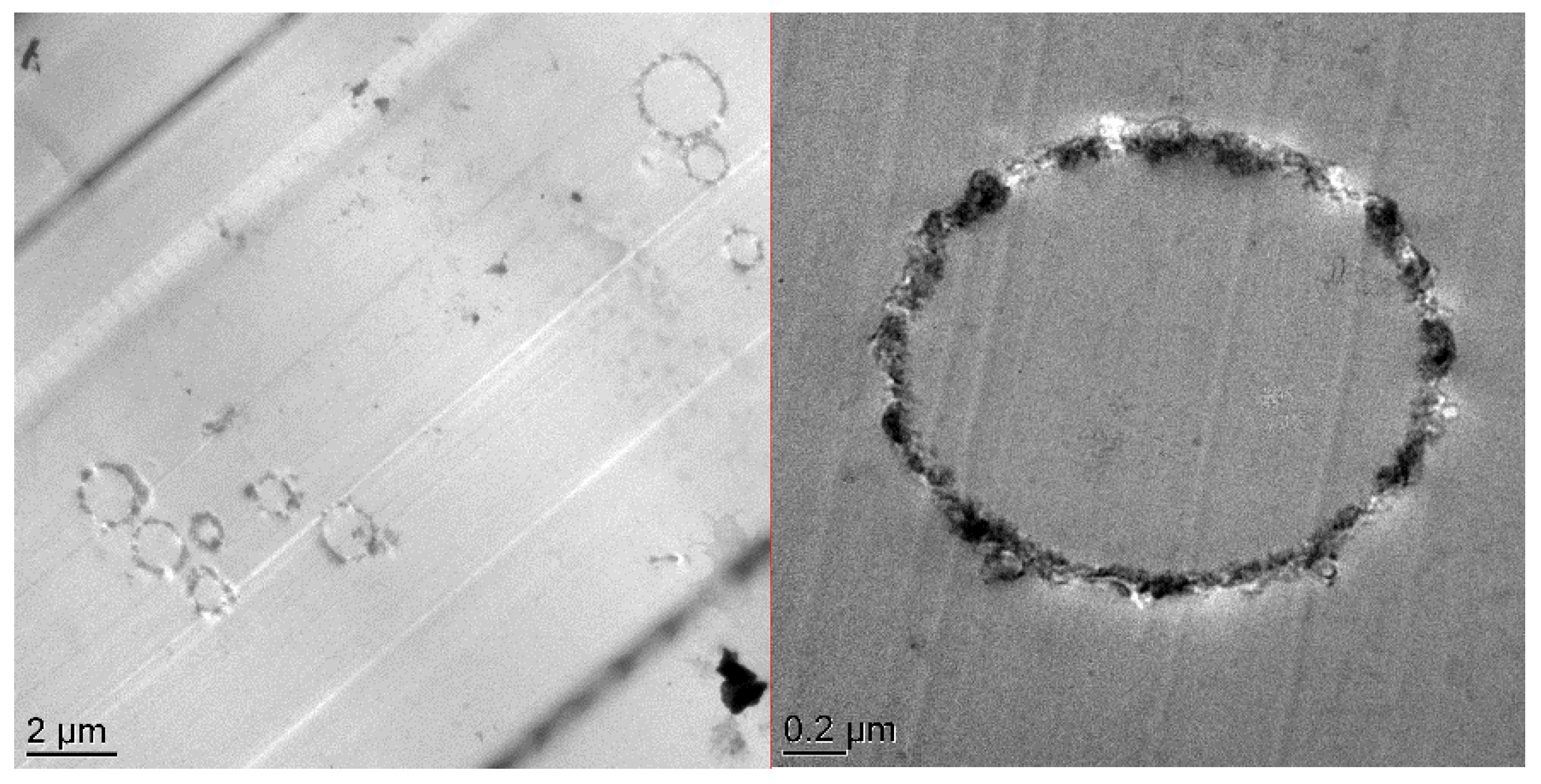 Nanomaterials 10 00881 g007