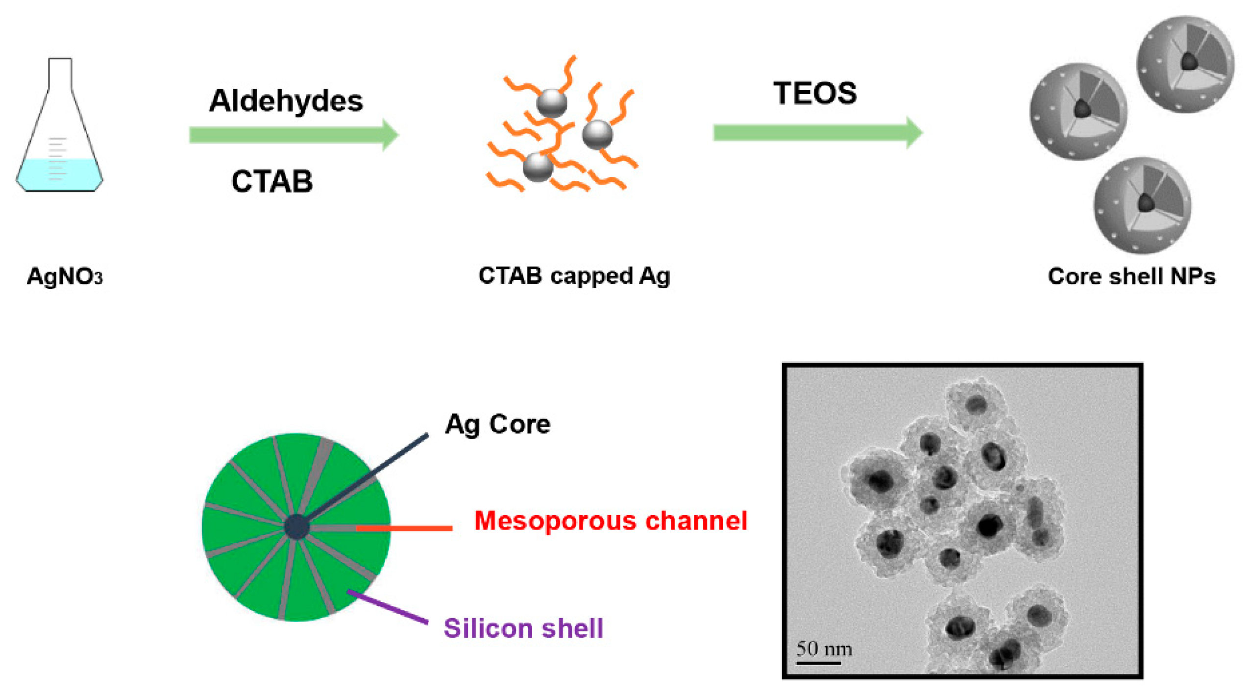 Nanomaterials 10 00883 g001