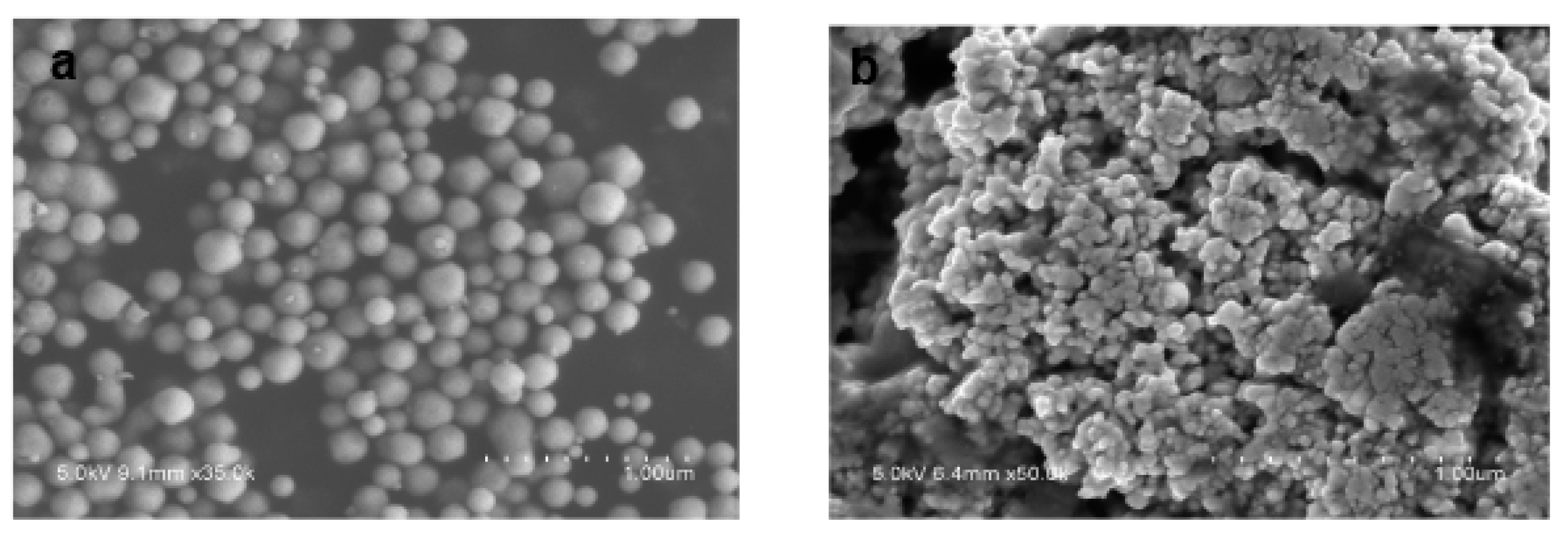 Nanomaterials 10 00883 g003