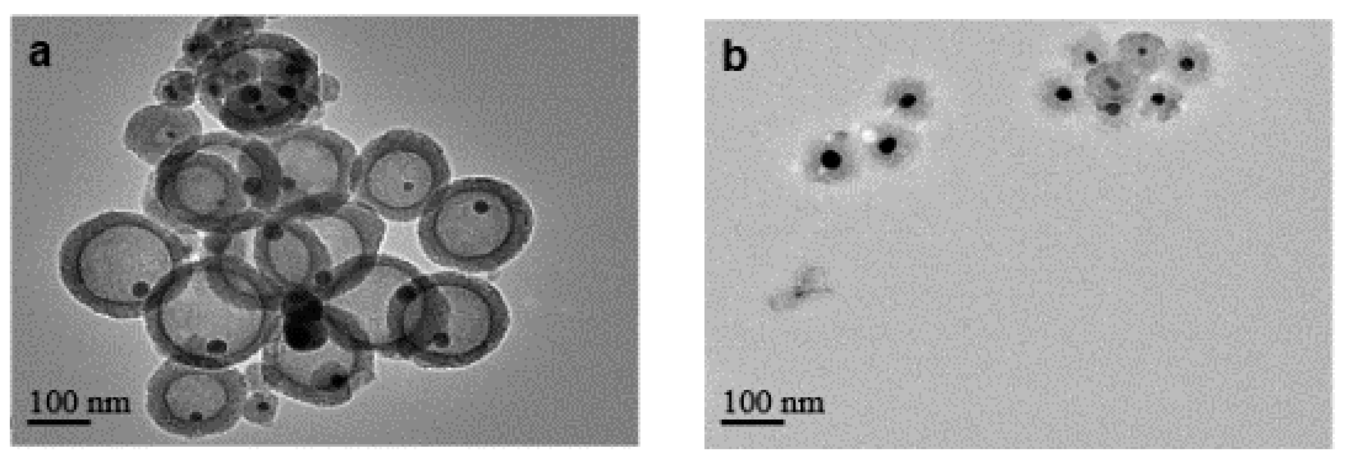 Nanomaterials 10 00883 g005