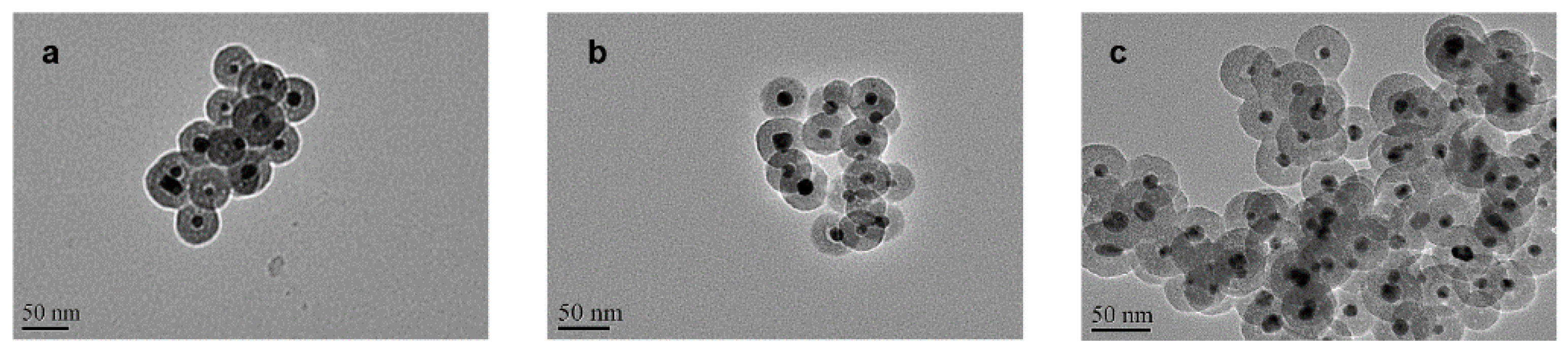 Nanomaterials 10 00883 g008