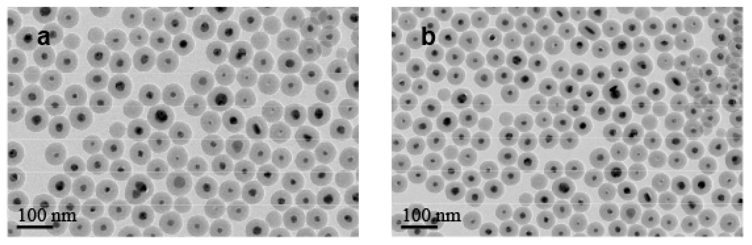 Nanomaterials 10 00883 g009