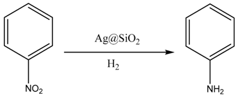 Nanomaterials 10 00883 i001