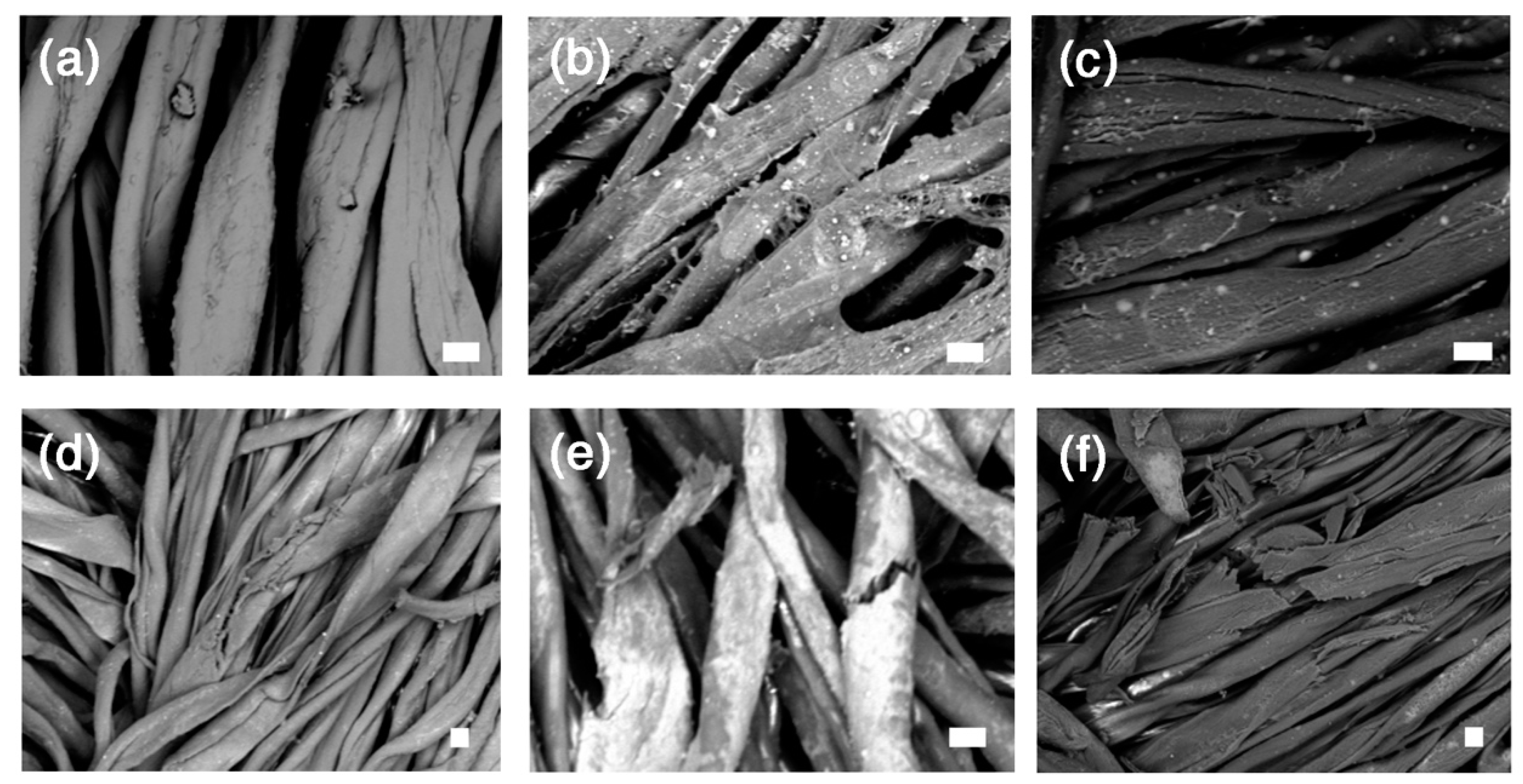 Nanomaterials 10 00900 g004 Nanomaterials 10 00900 g004