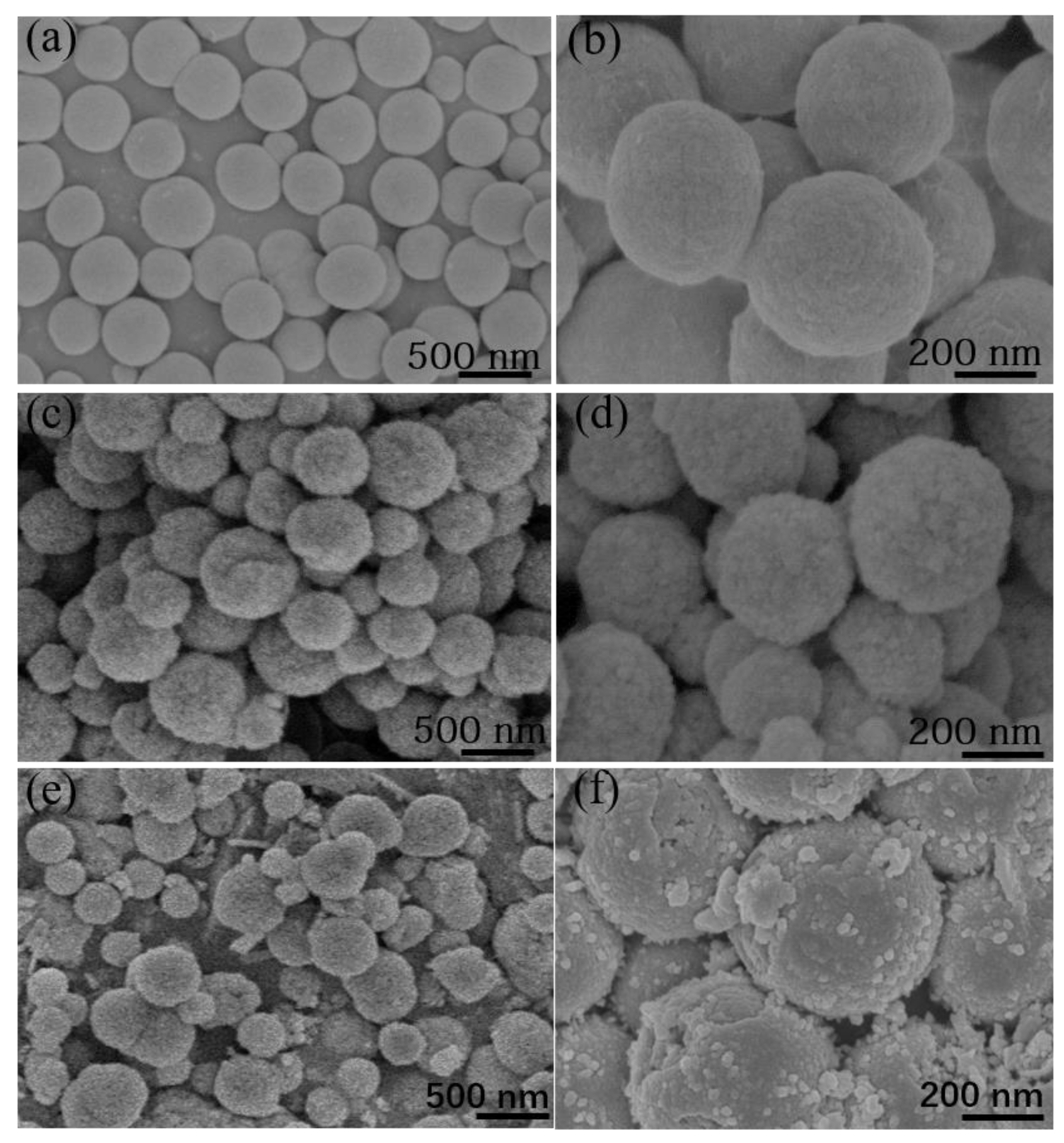 Nanomaterials 10 00902 g002