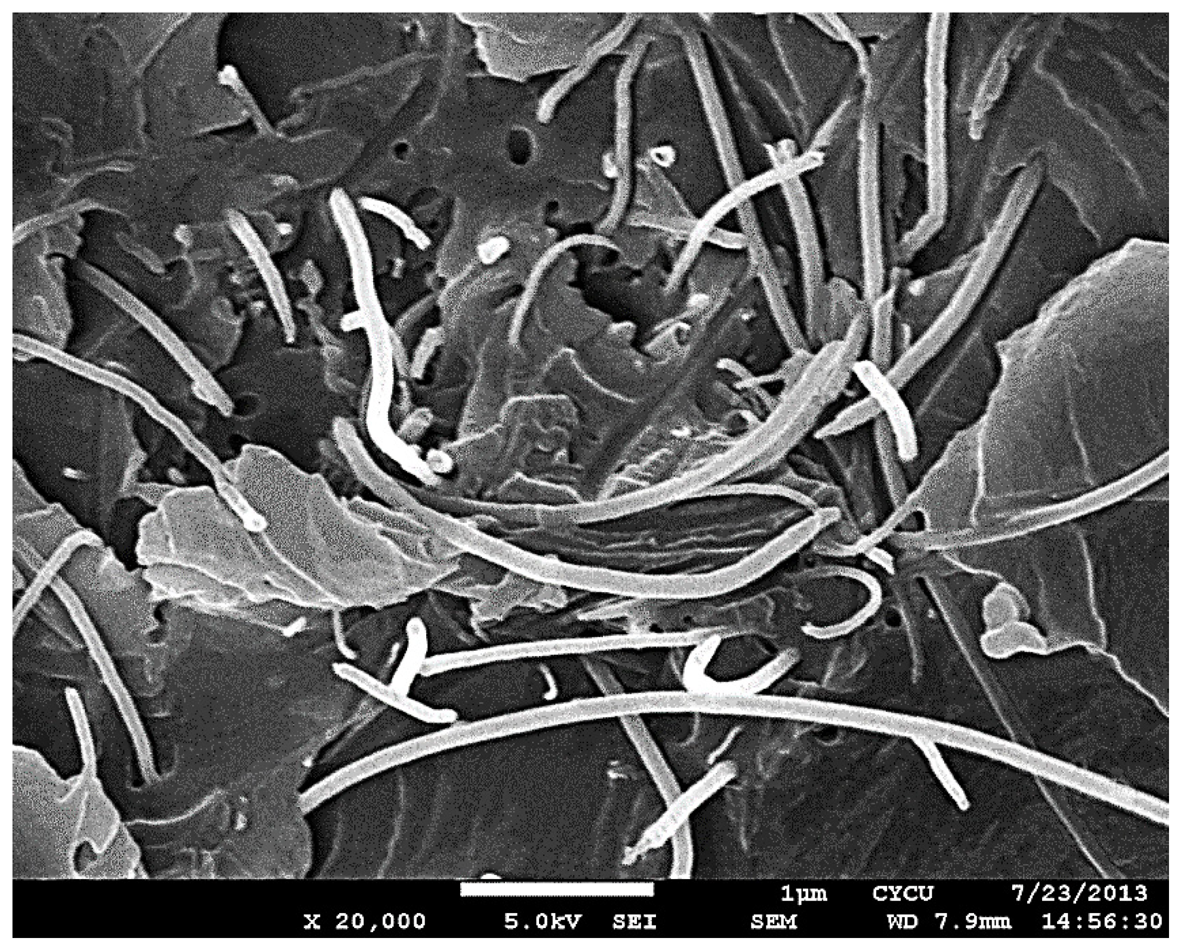 Nanomaterials 10 00904 g013 Nanomaterials 10 00904 g013