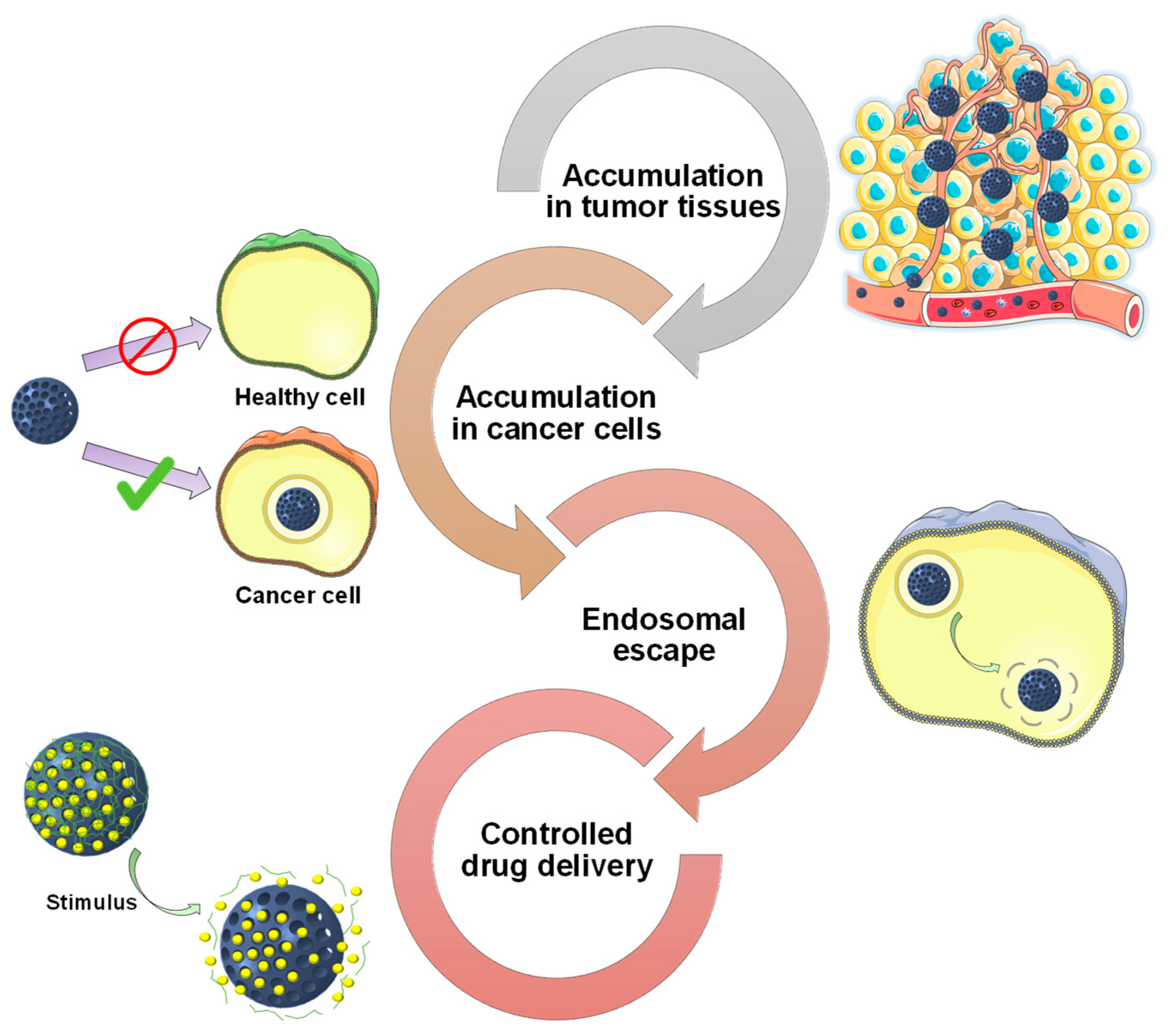 Nanomaterials 10 00916 g001