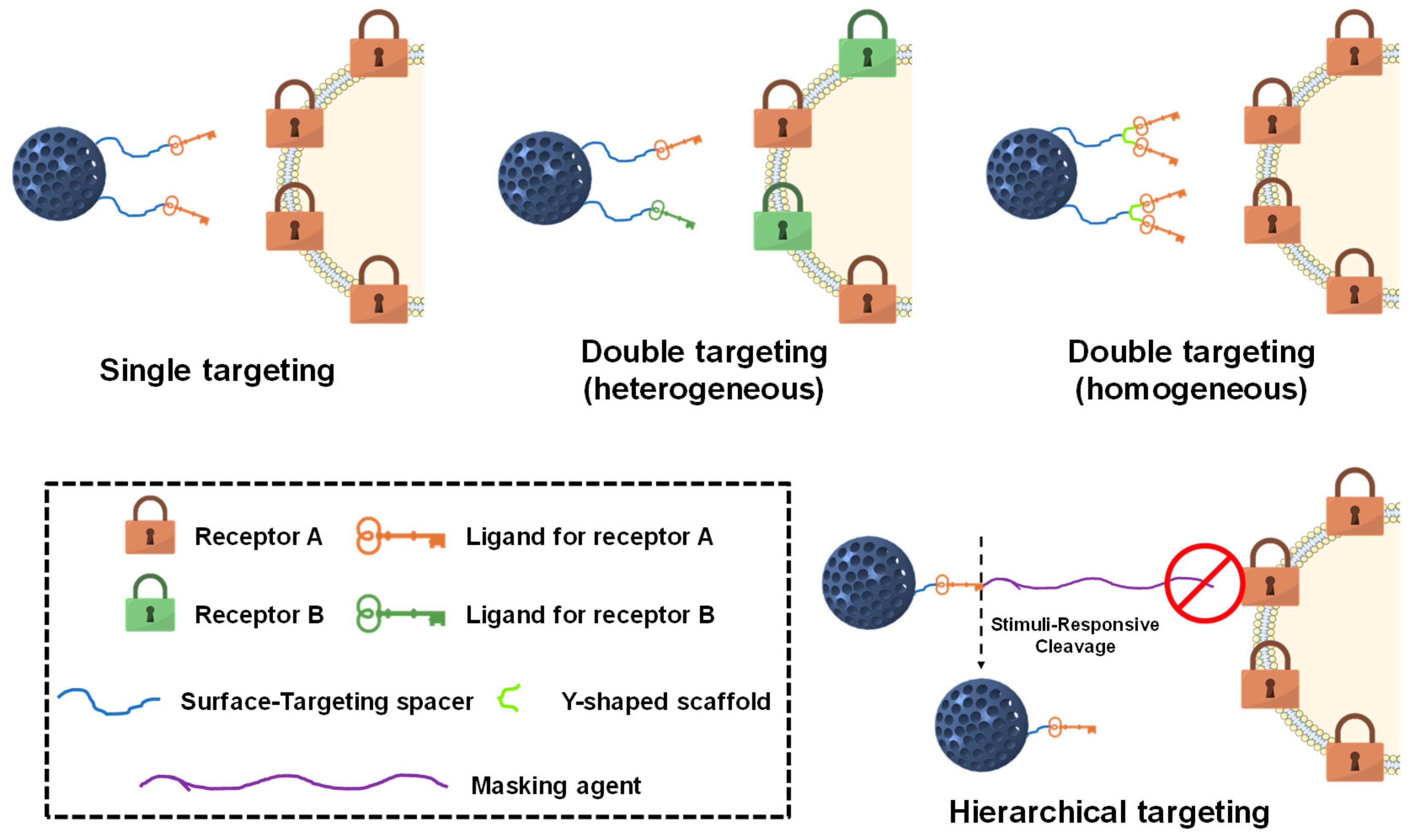 Nanomaterials 10 00916 g005