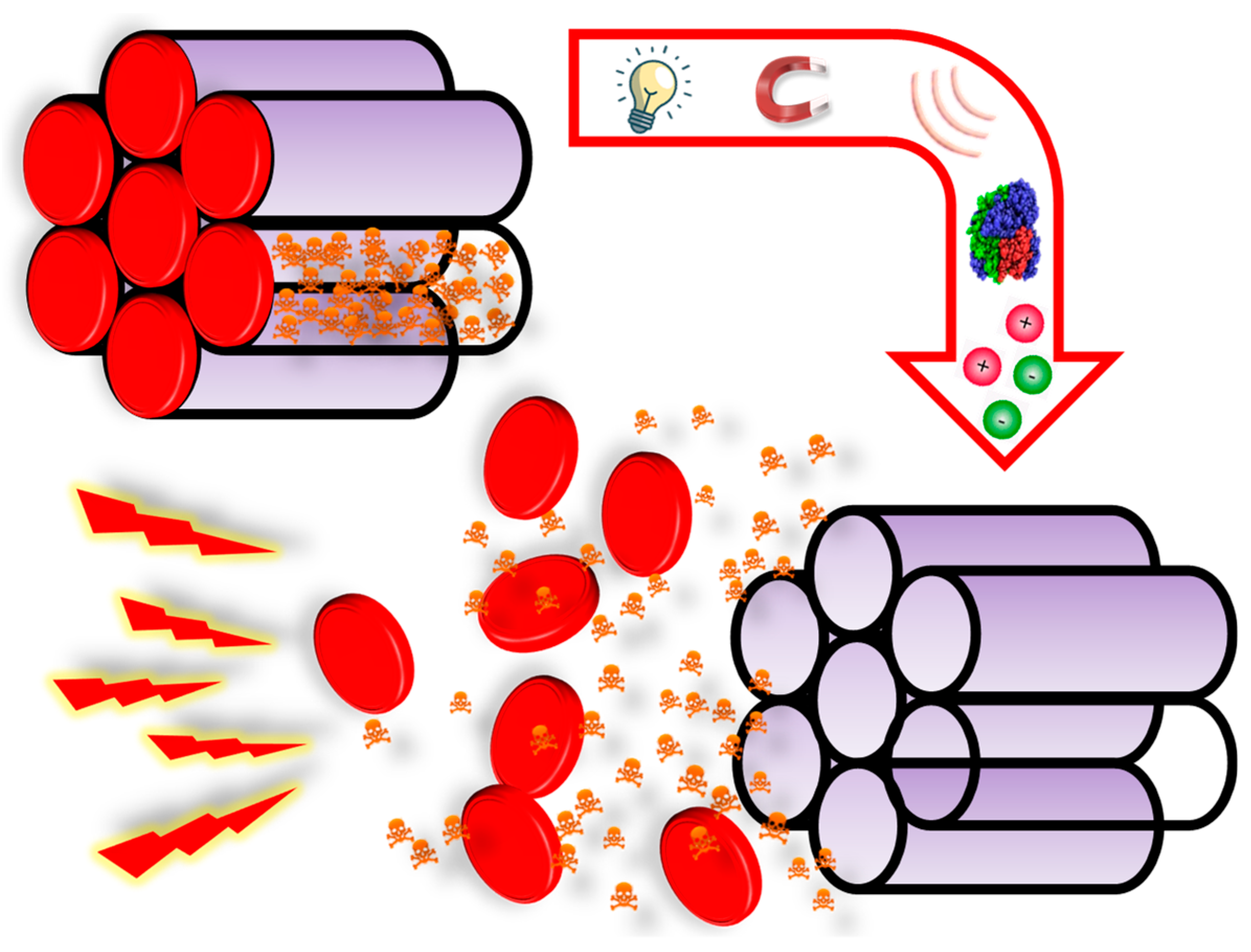 Nanomaterials 10 00916 g007