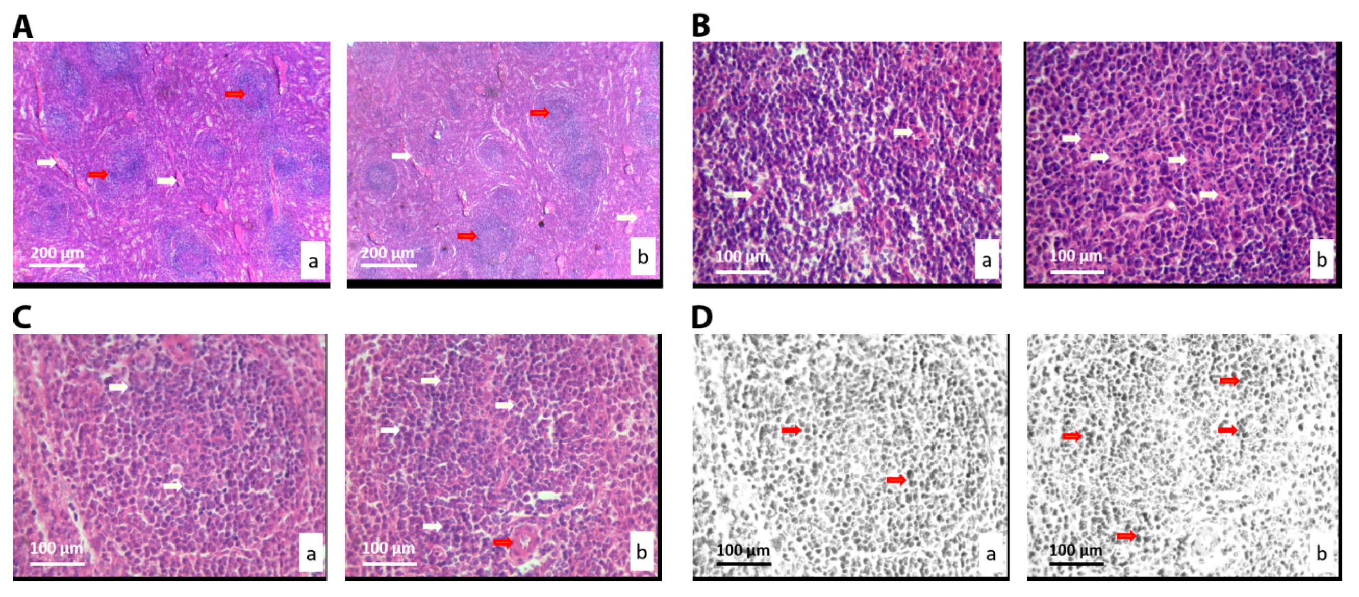 Nanomaterials 10 00918 g005