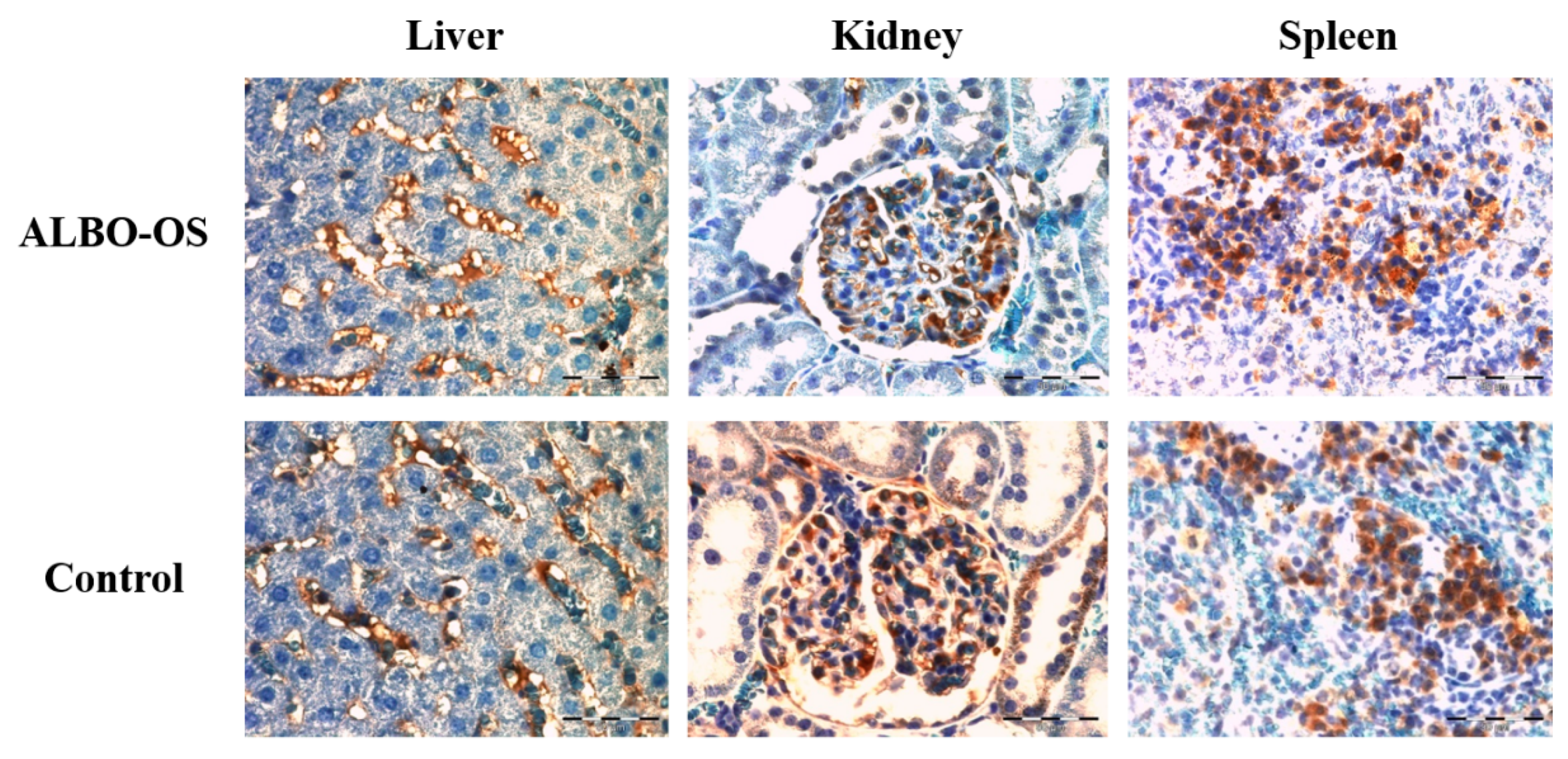 Nanomaterials 10 00918 g007