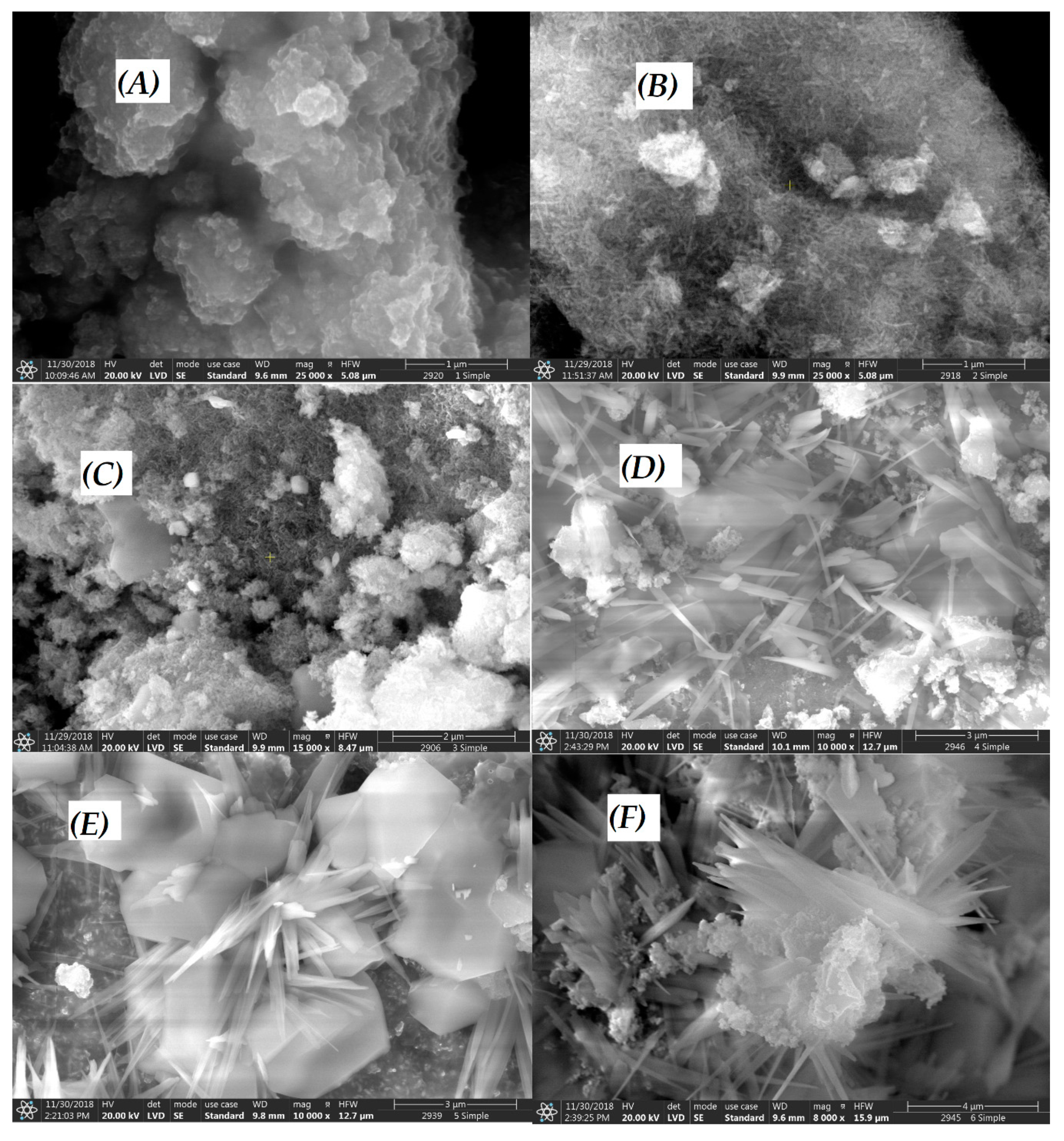 Nanomaterials 10 00921 g004 Nanomaterials 10 00921 g004