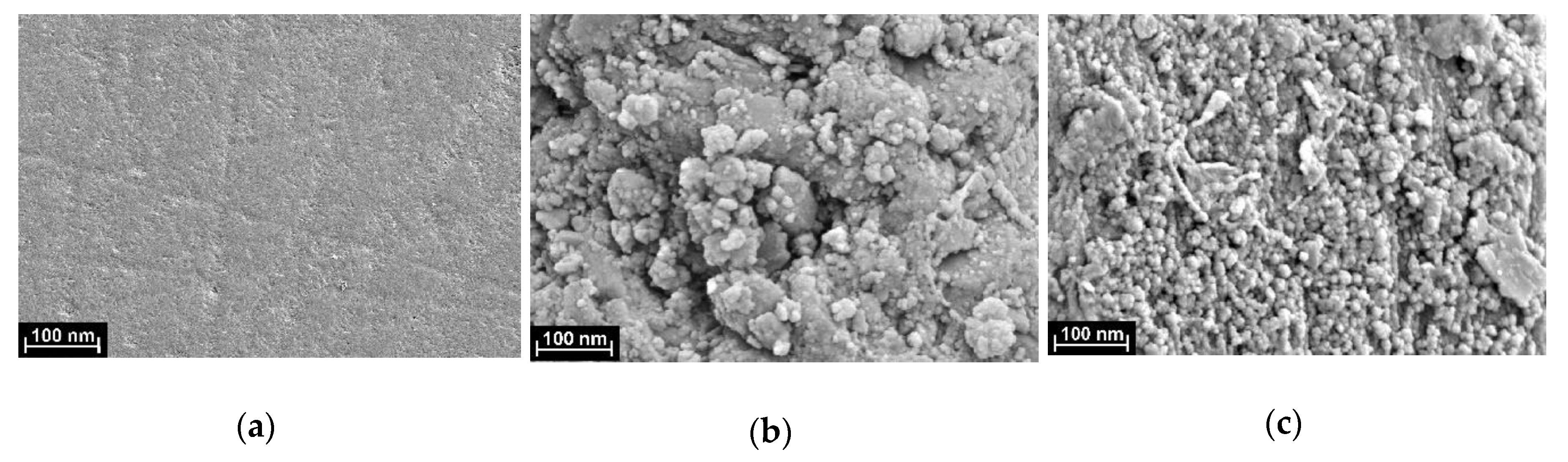 Nanomaterials 10 00924 g003