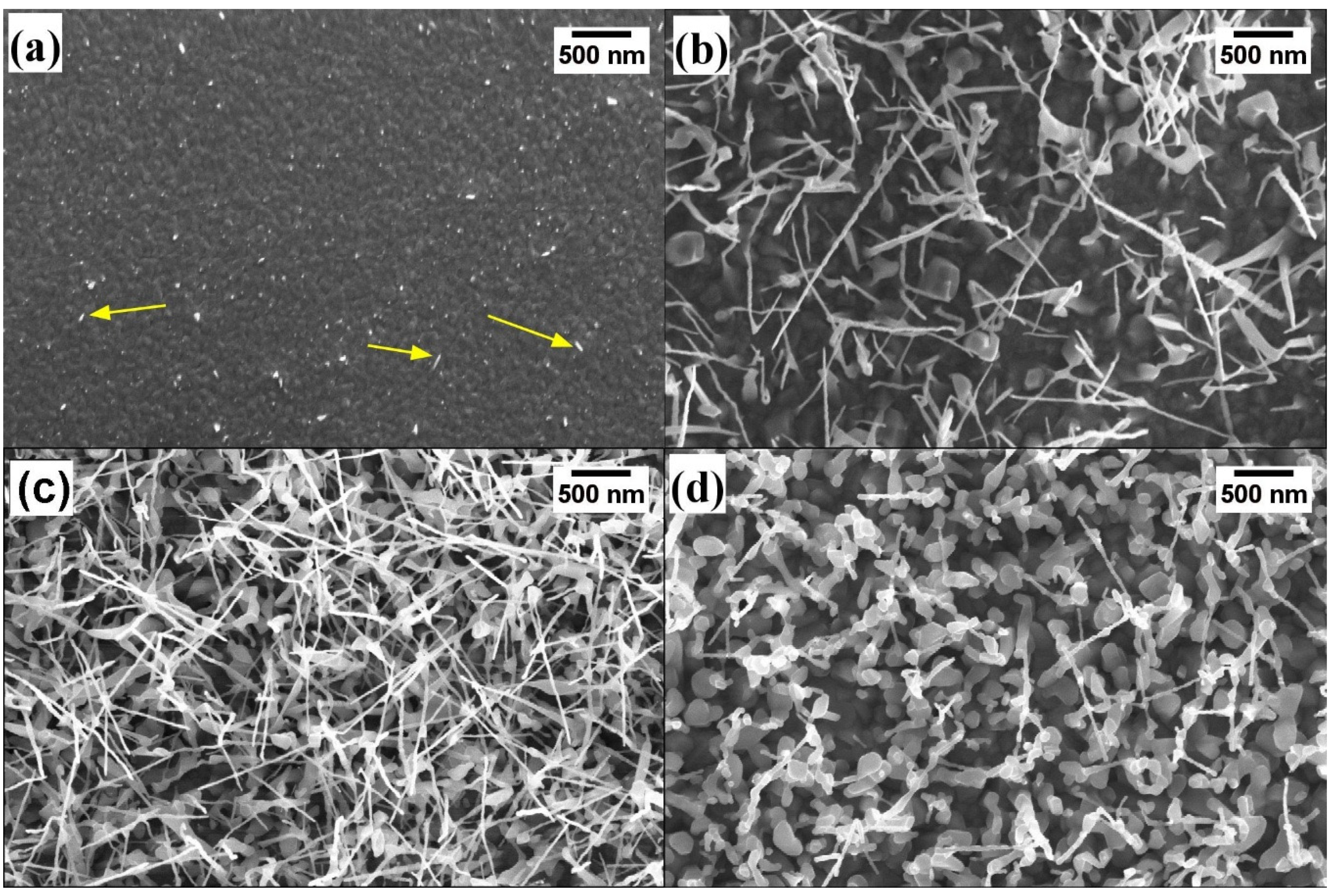 Nanomaterials 10 00935 g004