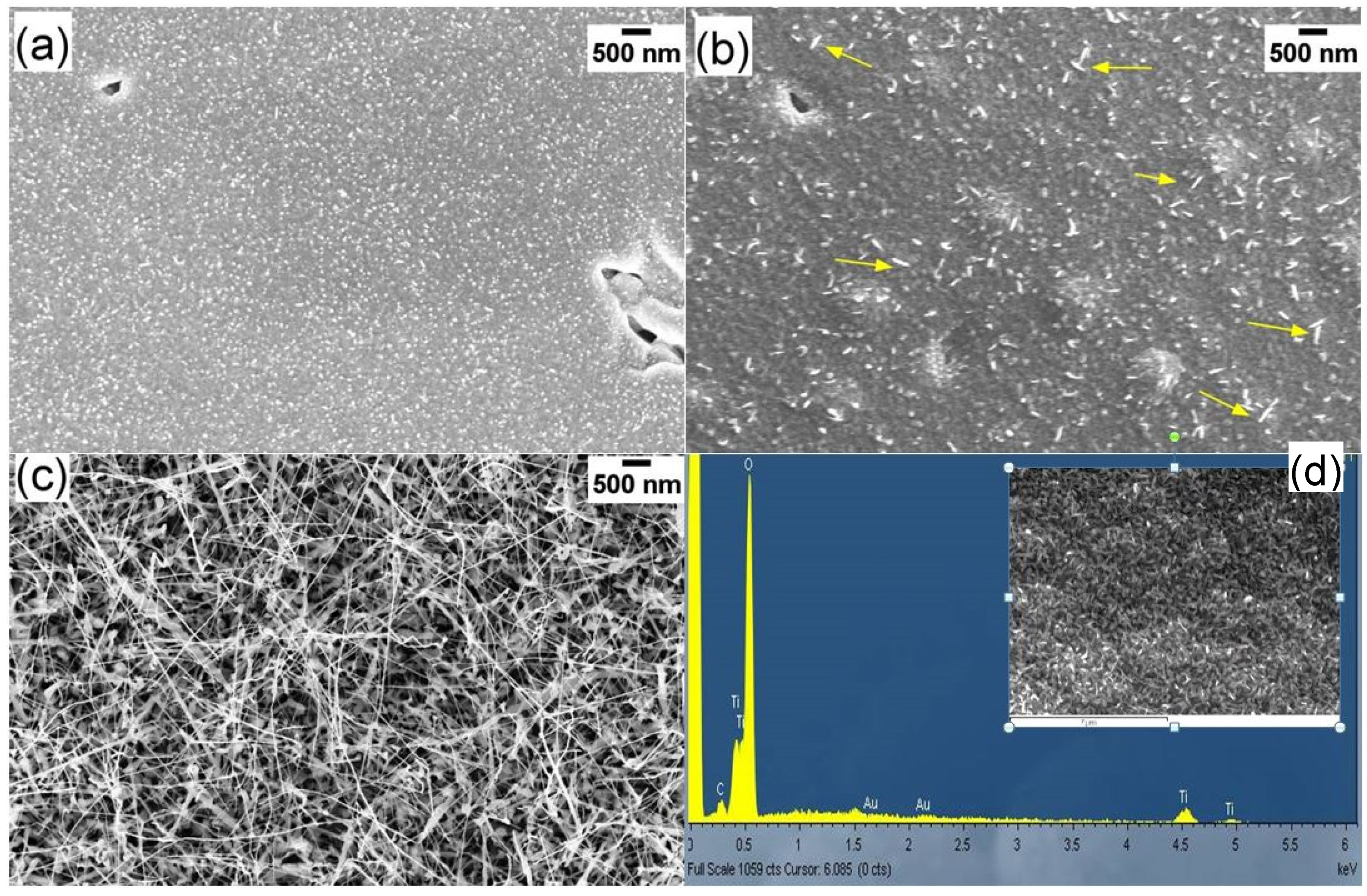 Nanomaterials 10 00935 g005