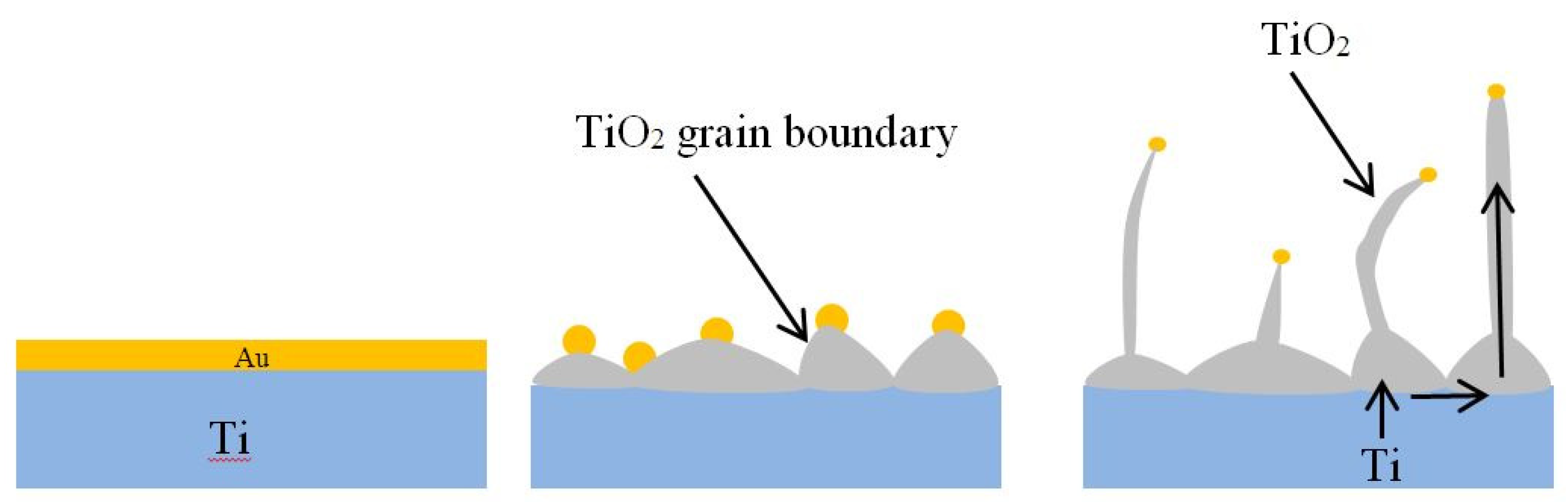 Nanomaterials 10 00935 g007