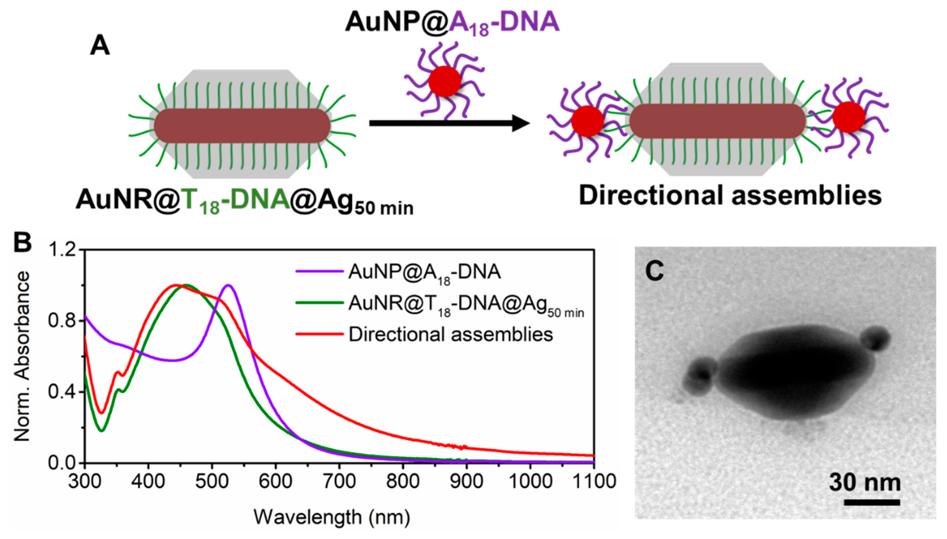 Nanomaterials 10 00942 g002