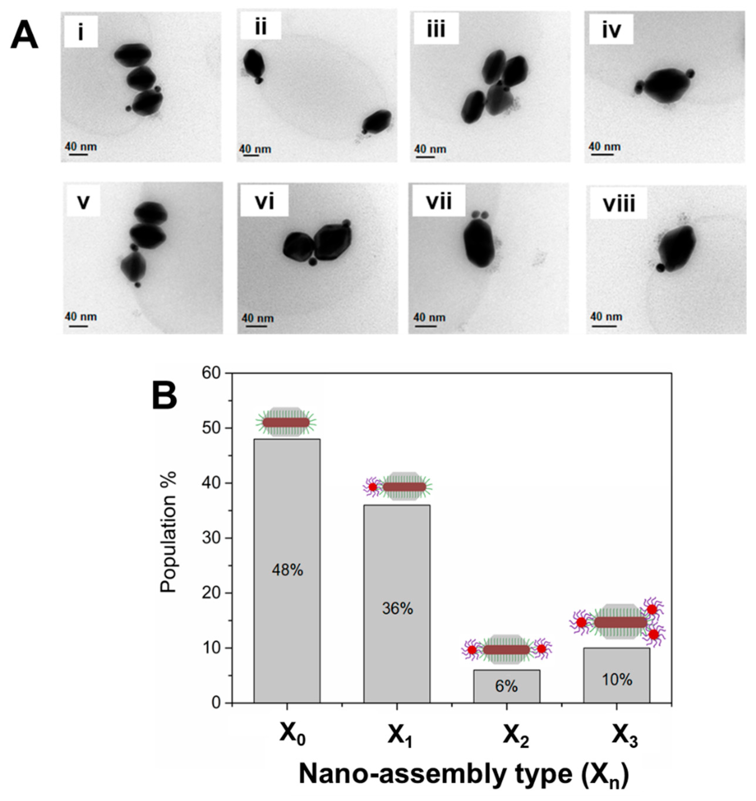 Nanomaterials 10 00942 g003