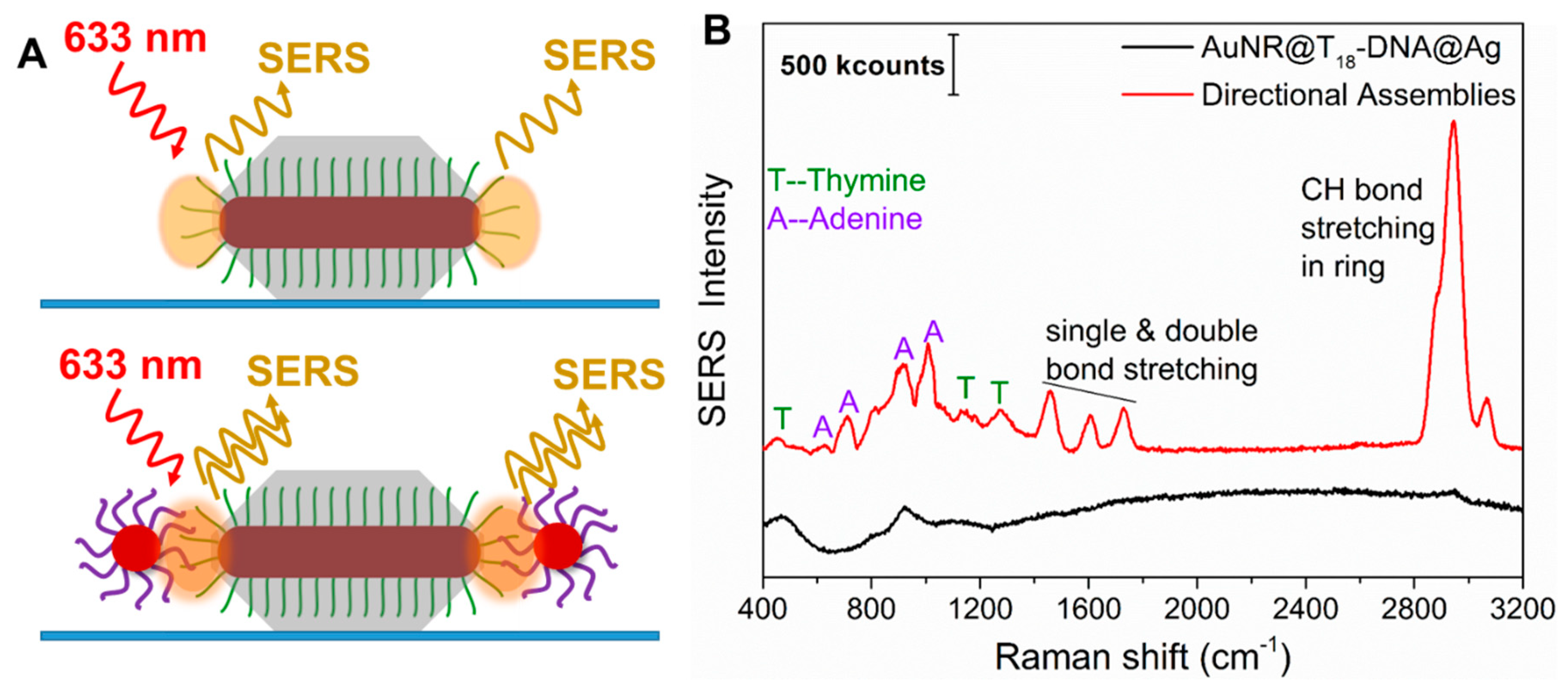 Nanomaterials 10 00942 g005
