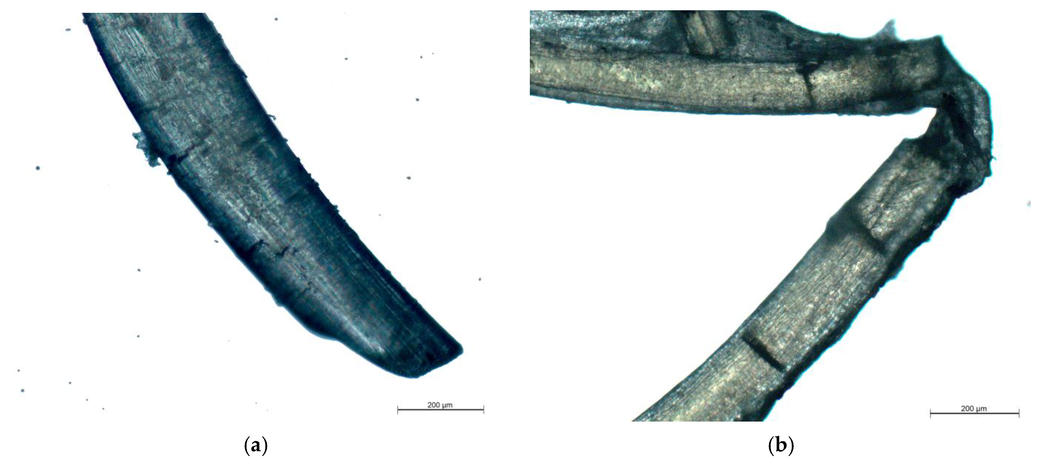 Nanomaterials 10 00945 g006 Nanomaterials 10 00945 g006