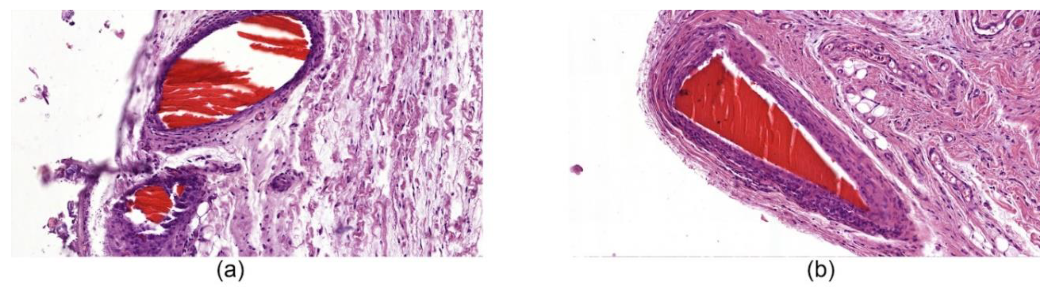 Nanomaterials 10 00945 g007 Nanomaterials 10 00945 g007