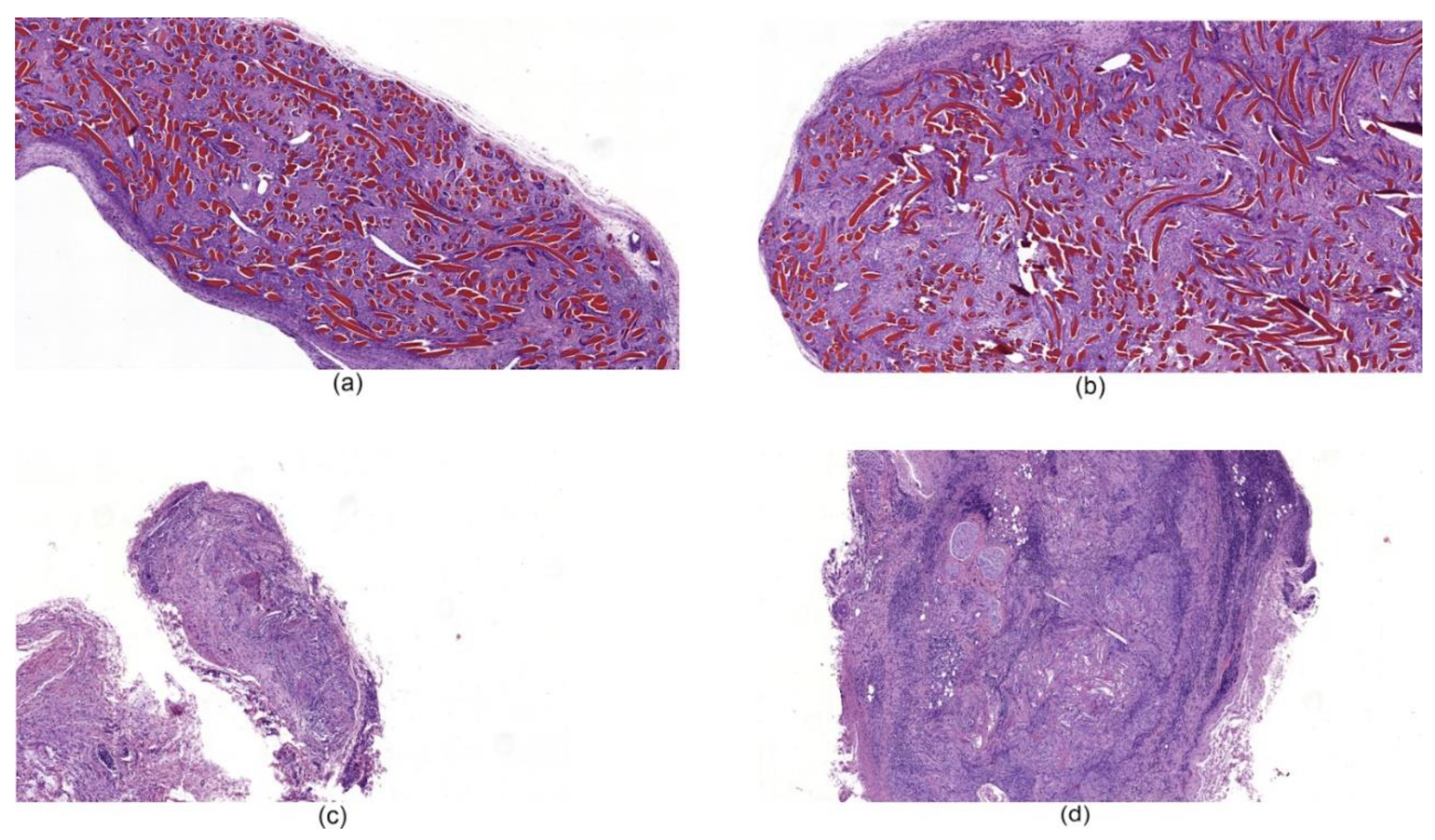 Nanomaterials 10 00945 g008 Nanomaterials 10 00945 g008