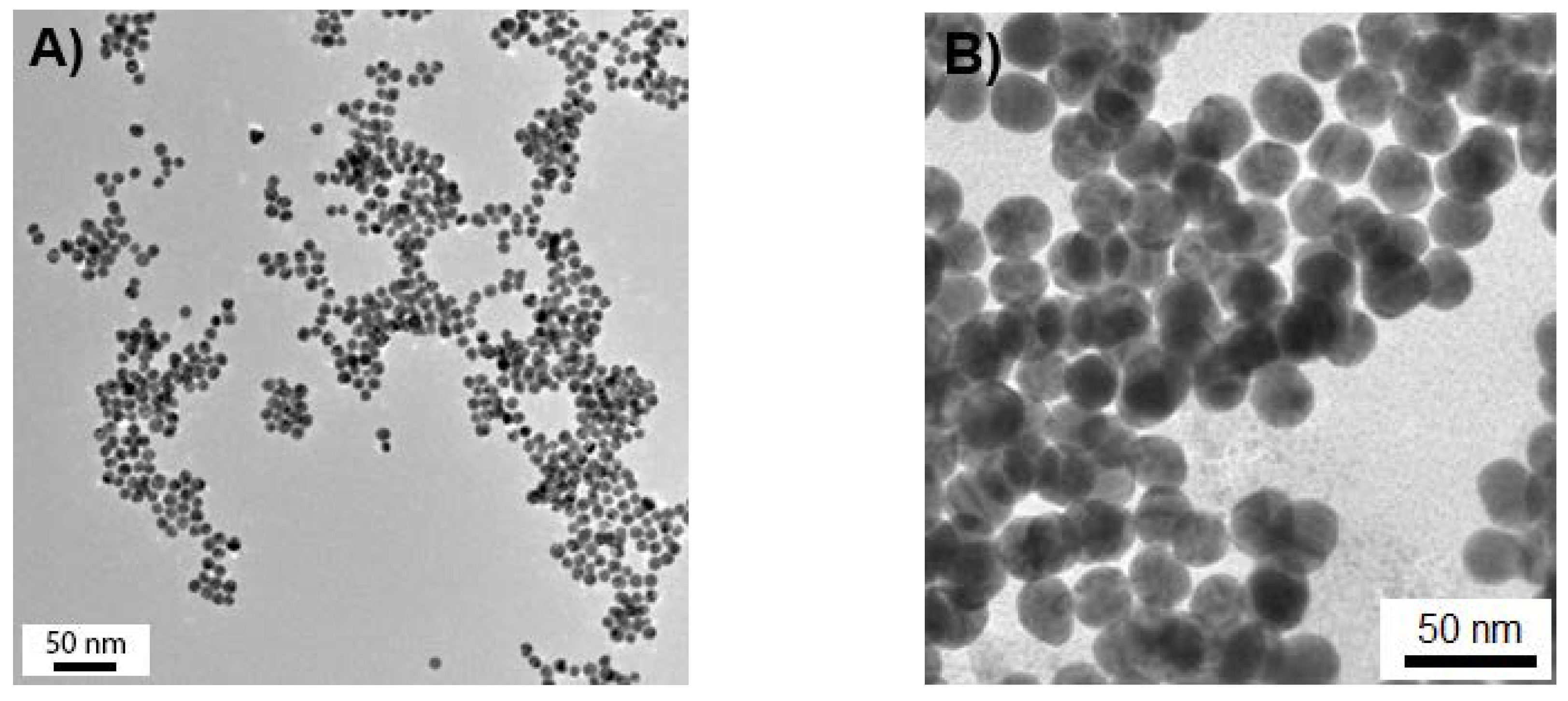 Nanomaterials 10 00952 g001