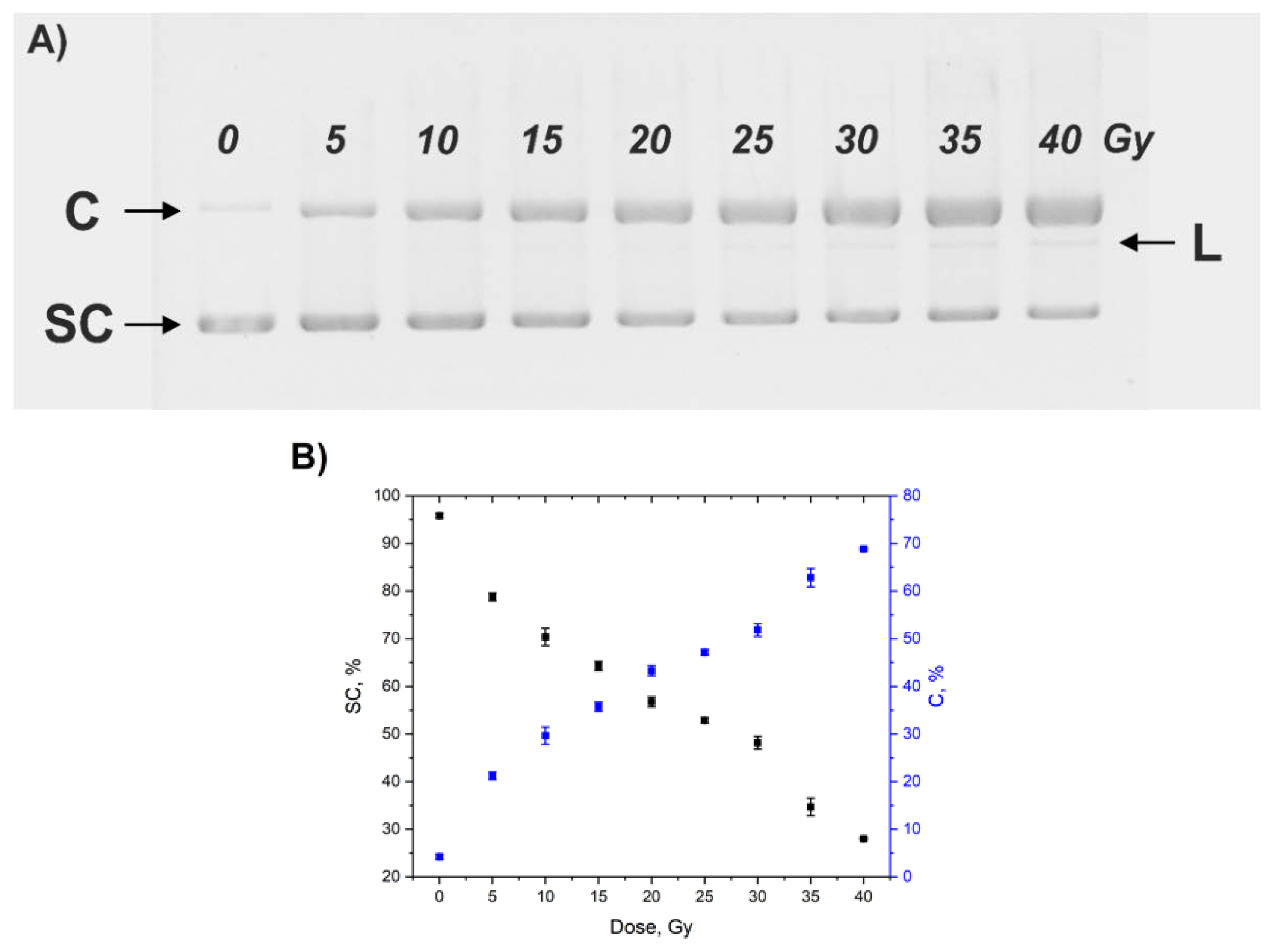 Nanomaterials 10 00952 g004