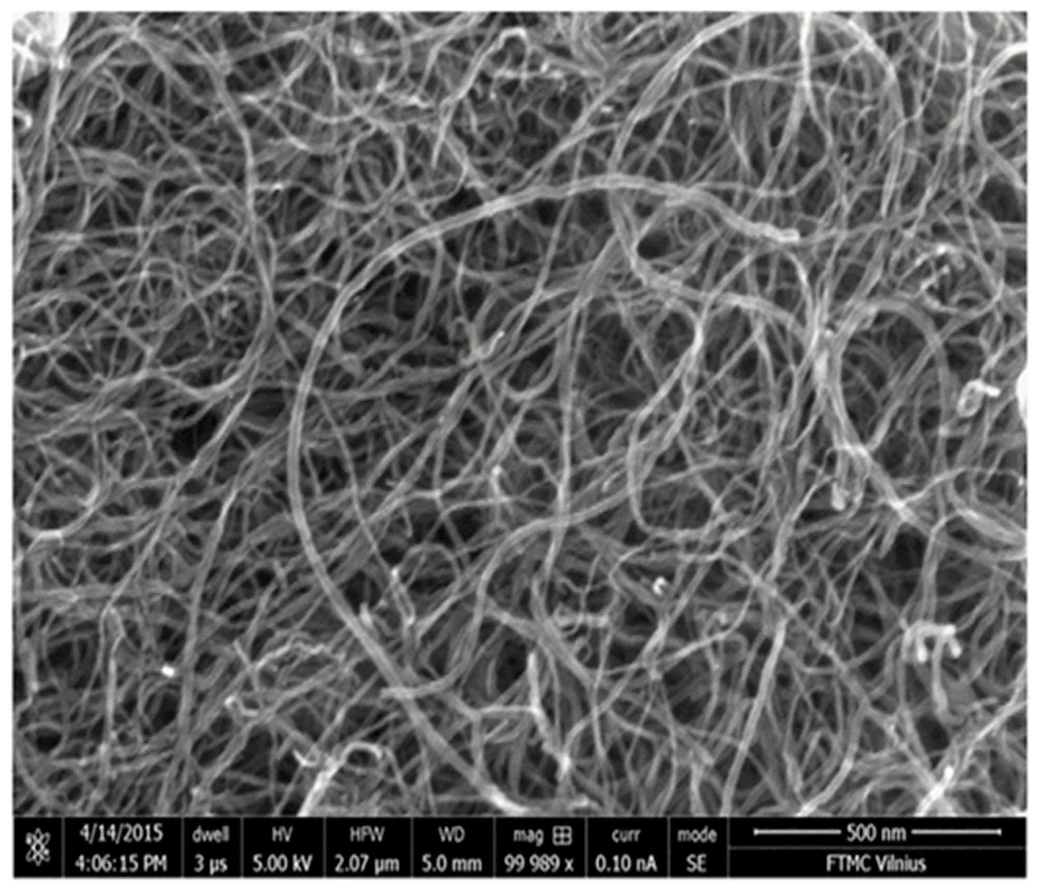 Nanomaterials 10 00954 g001 Nanomaterials 10 00954 g001