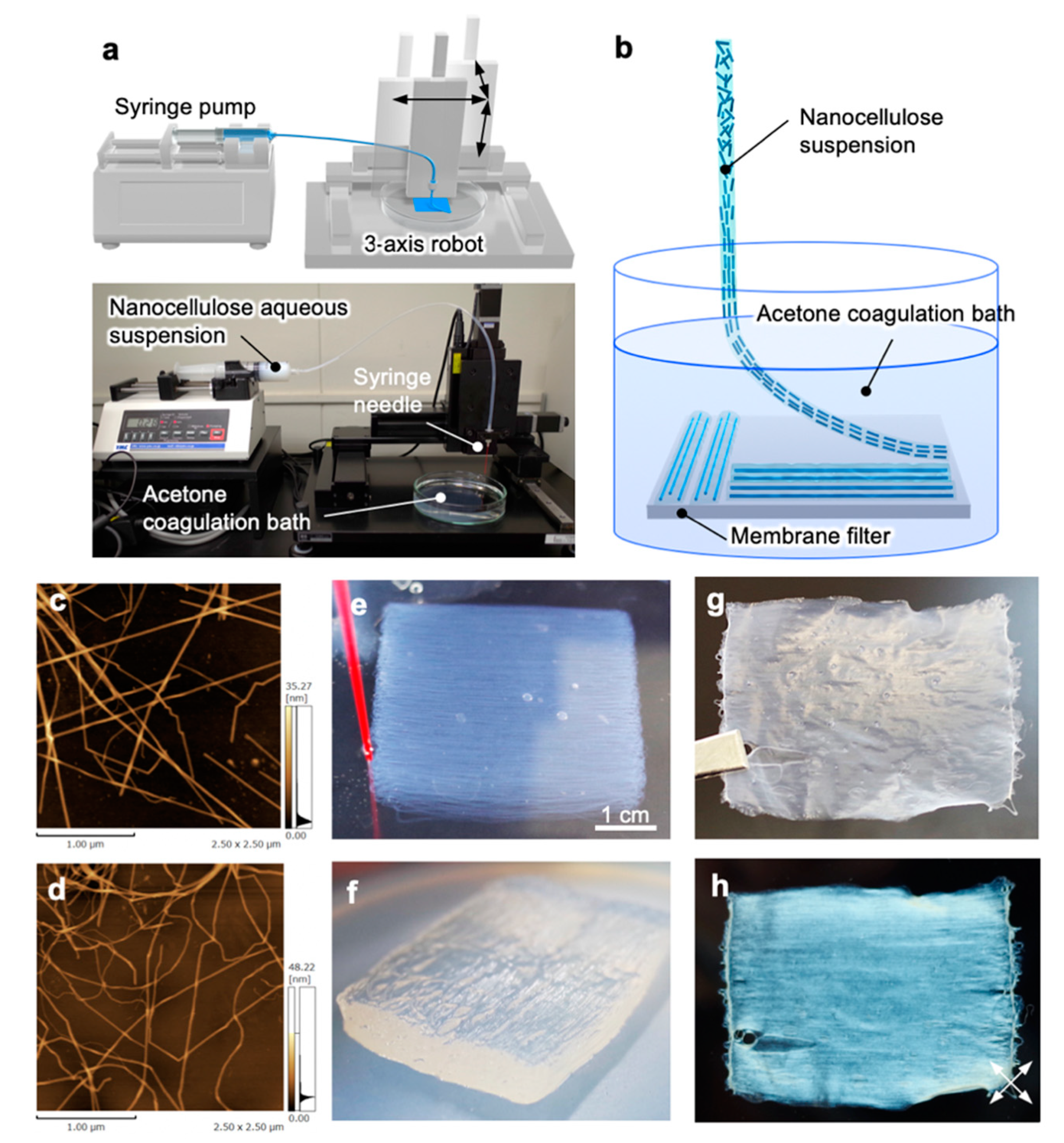 Nanomaterials 10 00958 g001