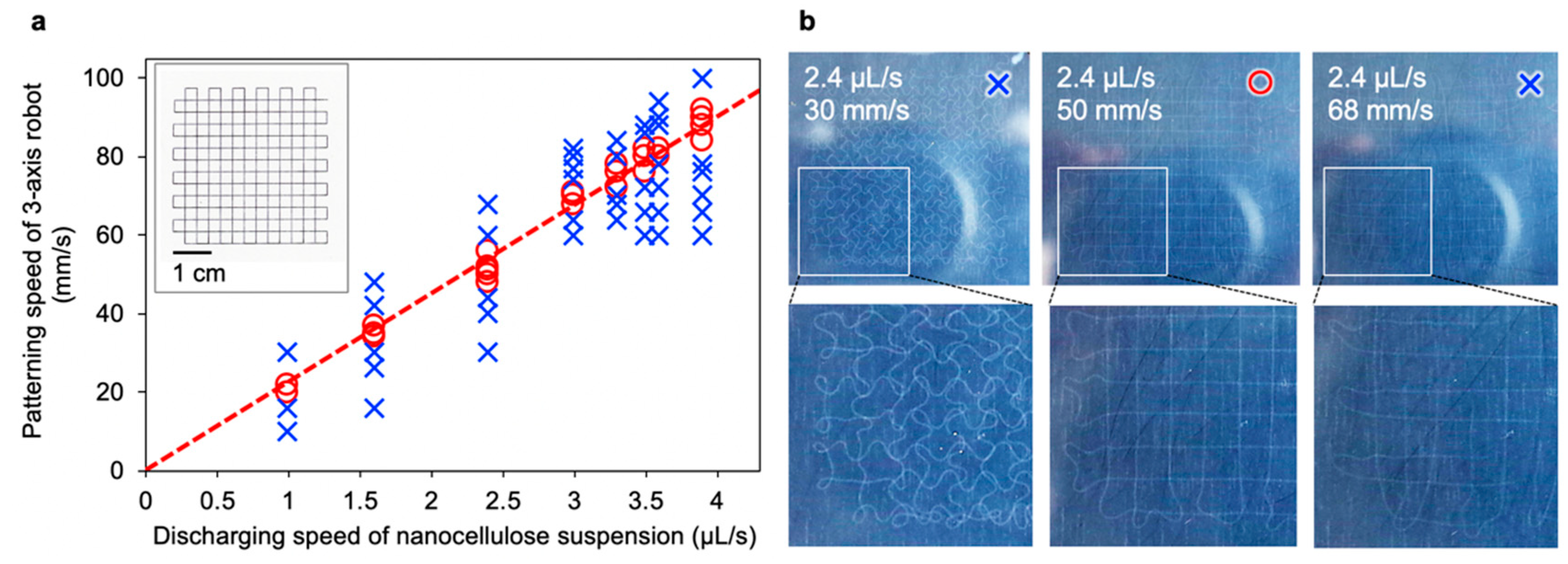 Nanomaterials 10 00958 g002