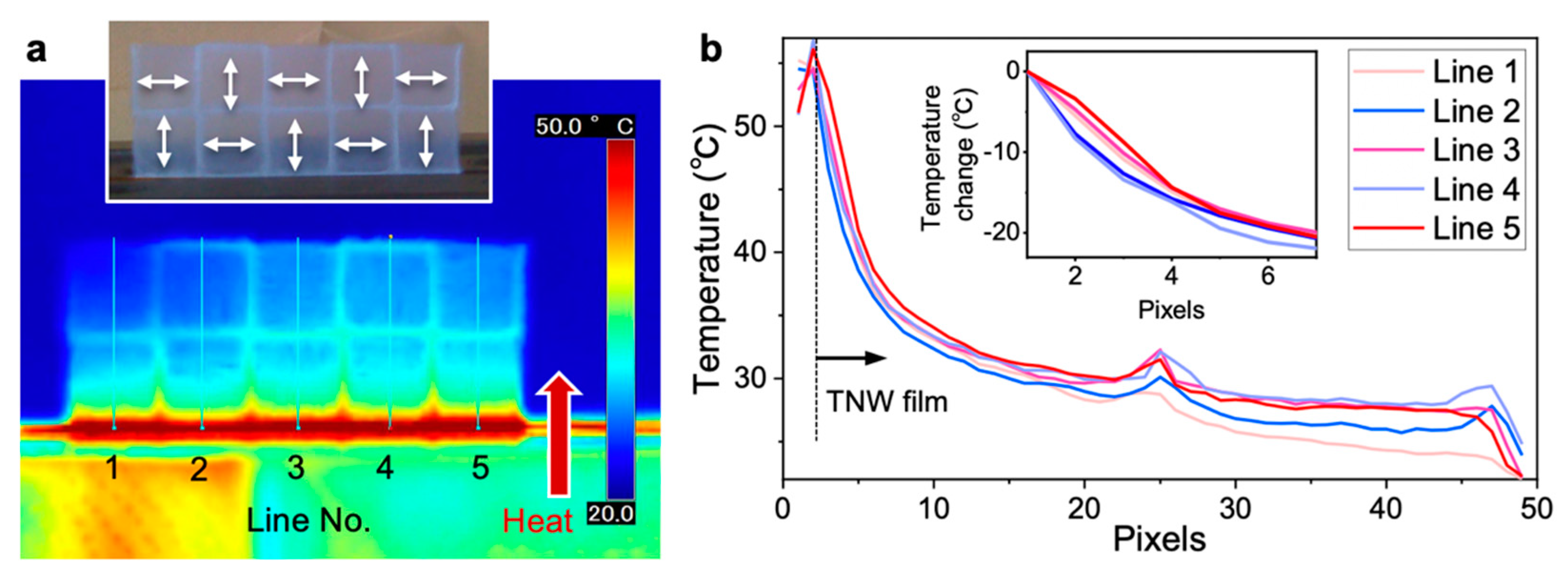 Nanomaterials 10 00958 g005