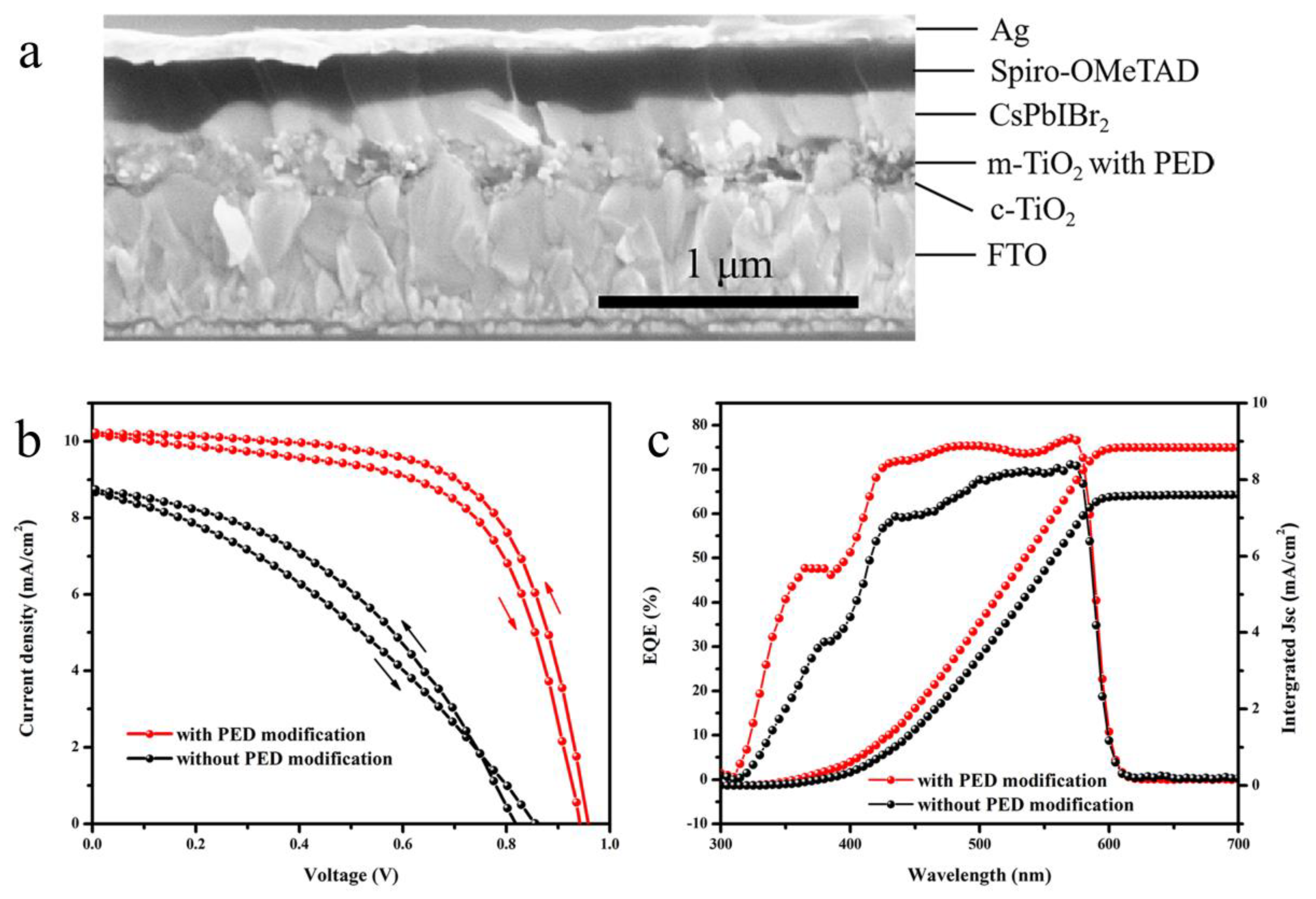Nanomaterials 10 00962 g005