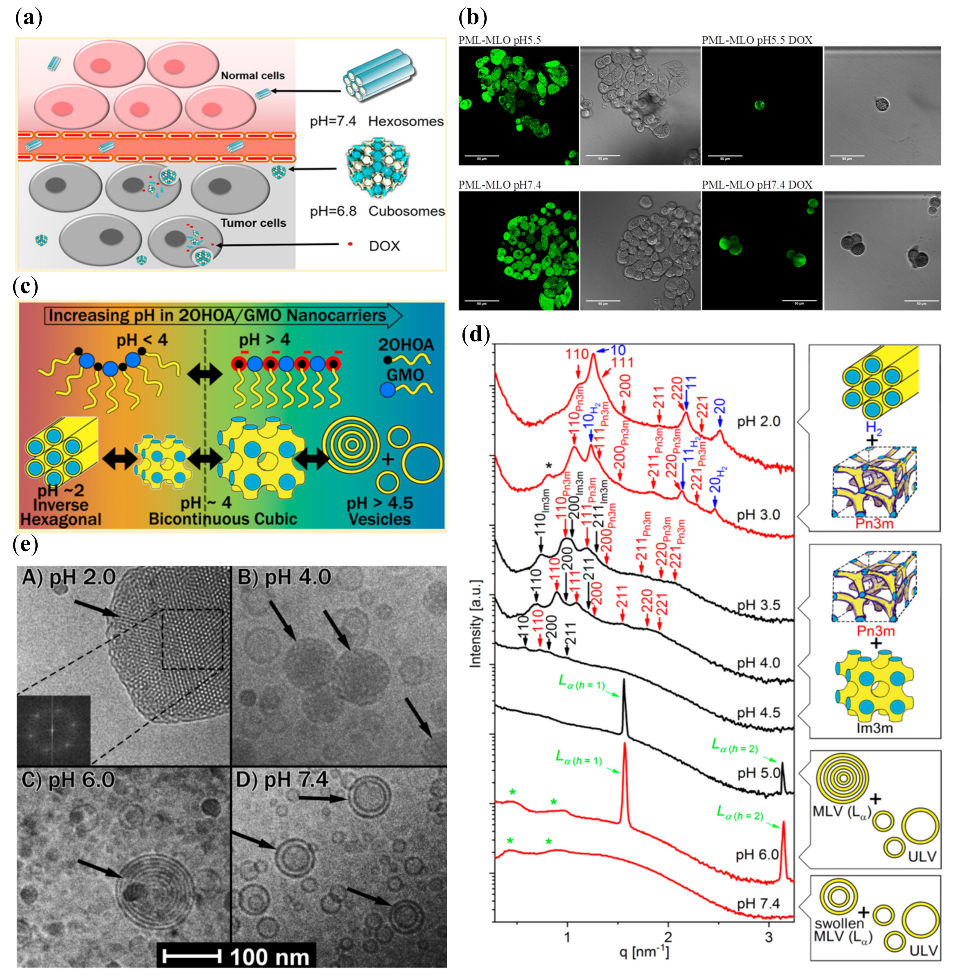 Nanomaterials 10 00963 g003 Nanomaterials 10 00963 g003