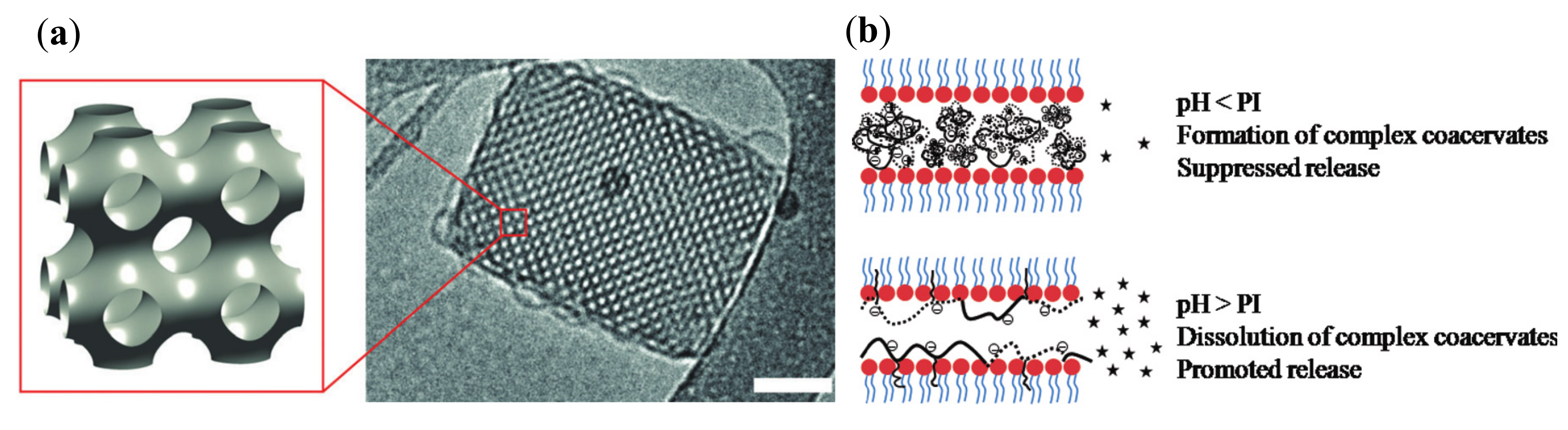 Nanomaterials 10 00963 g006 Nanomaterials 10 00963 g006